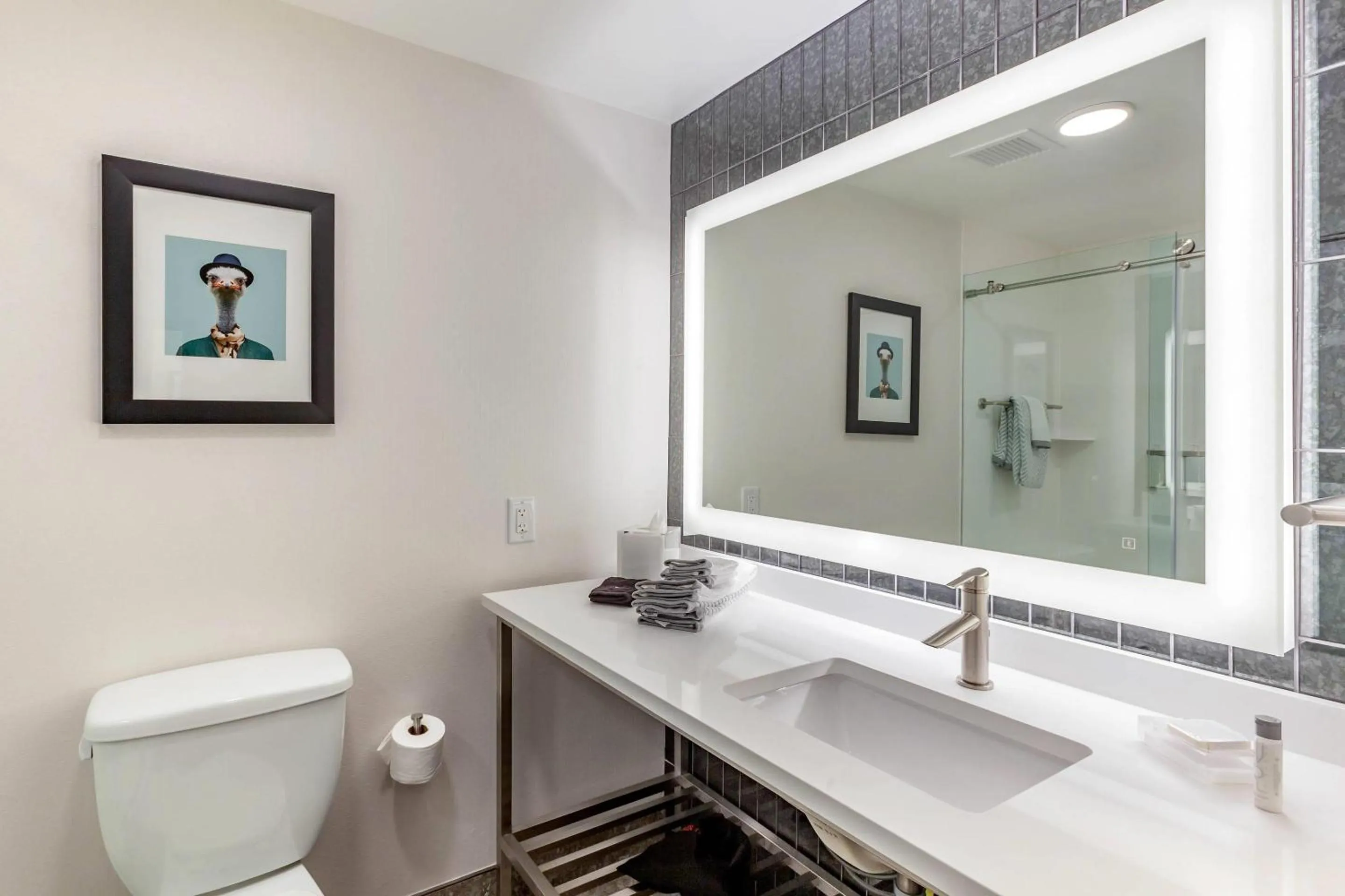 Bedroom in Cambria Downtown Phoenix Convention & Airport Hotel