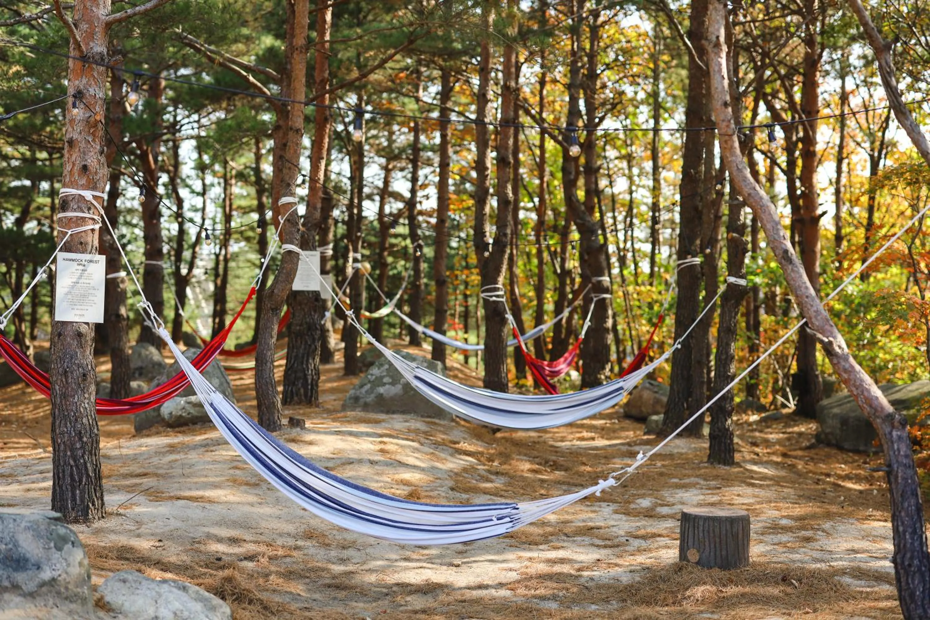 Natural landscape in Kensington Resort Seorak Valley