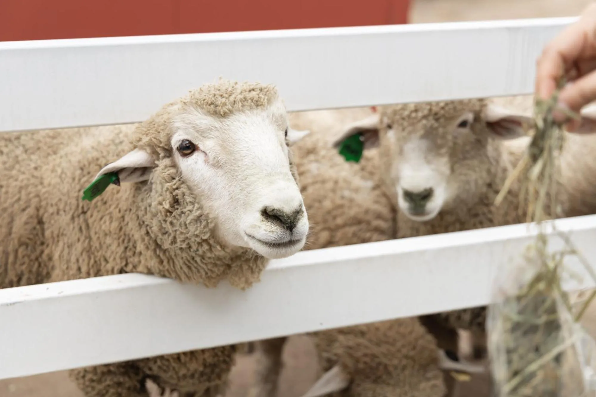 Natural landscape in Kensington Resort Seorak Valley