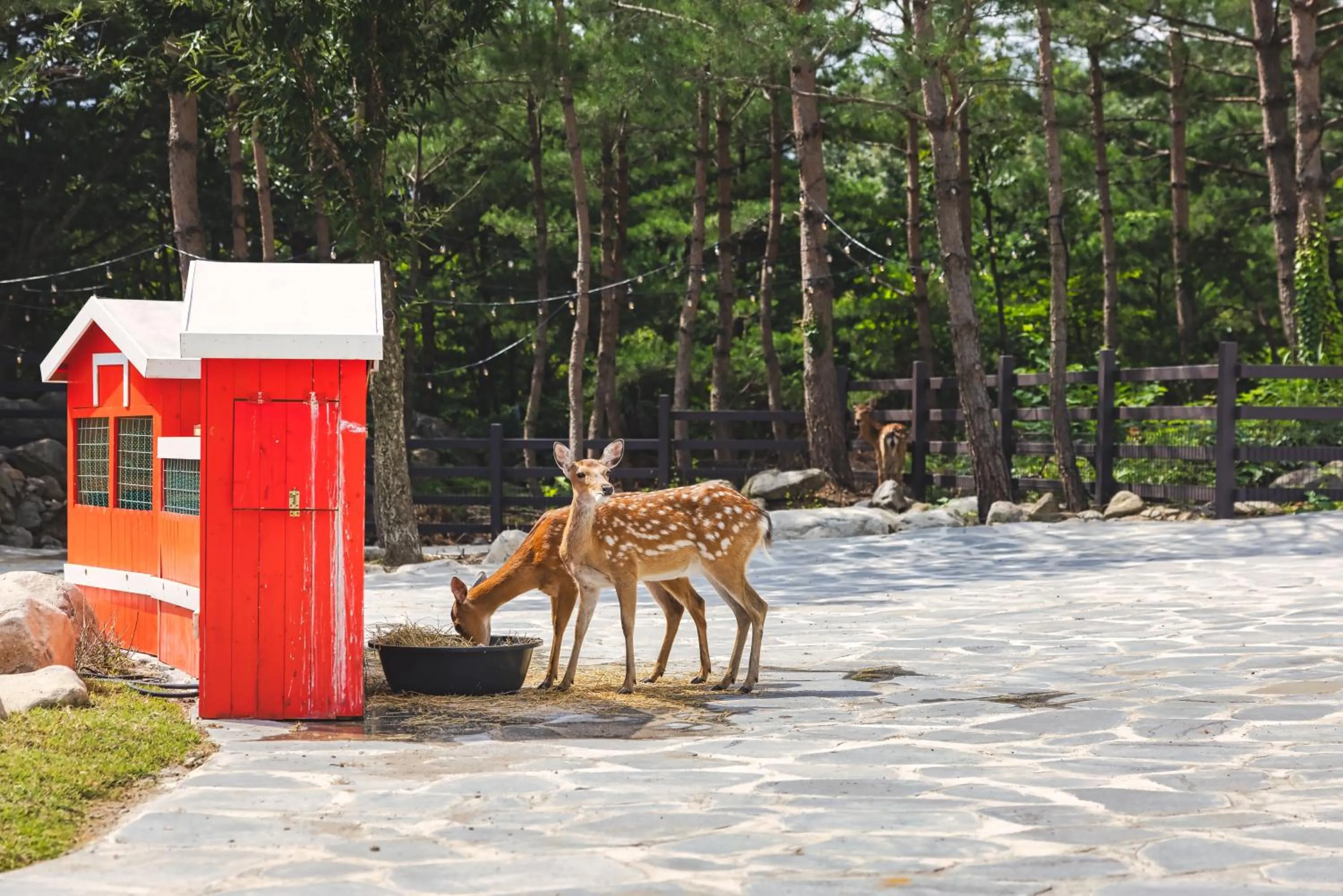 Natural landscape in Kensington Resort Seorak Valley