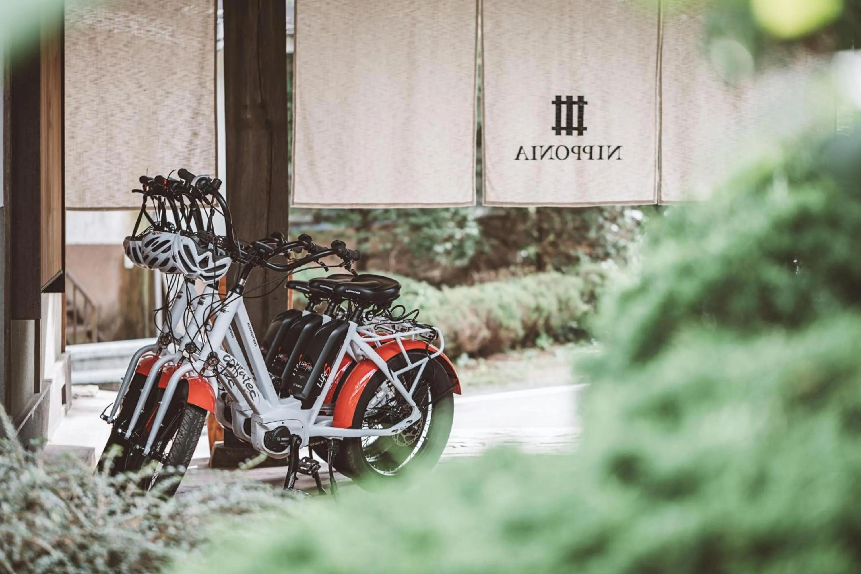 Activities in NIPPONIA Kosuge Village