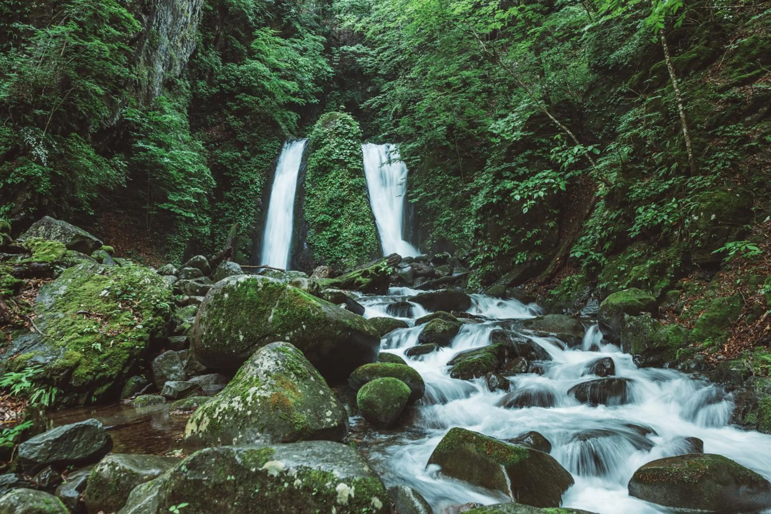 Off site in NIPPONIA Kosuge Village