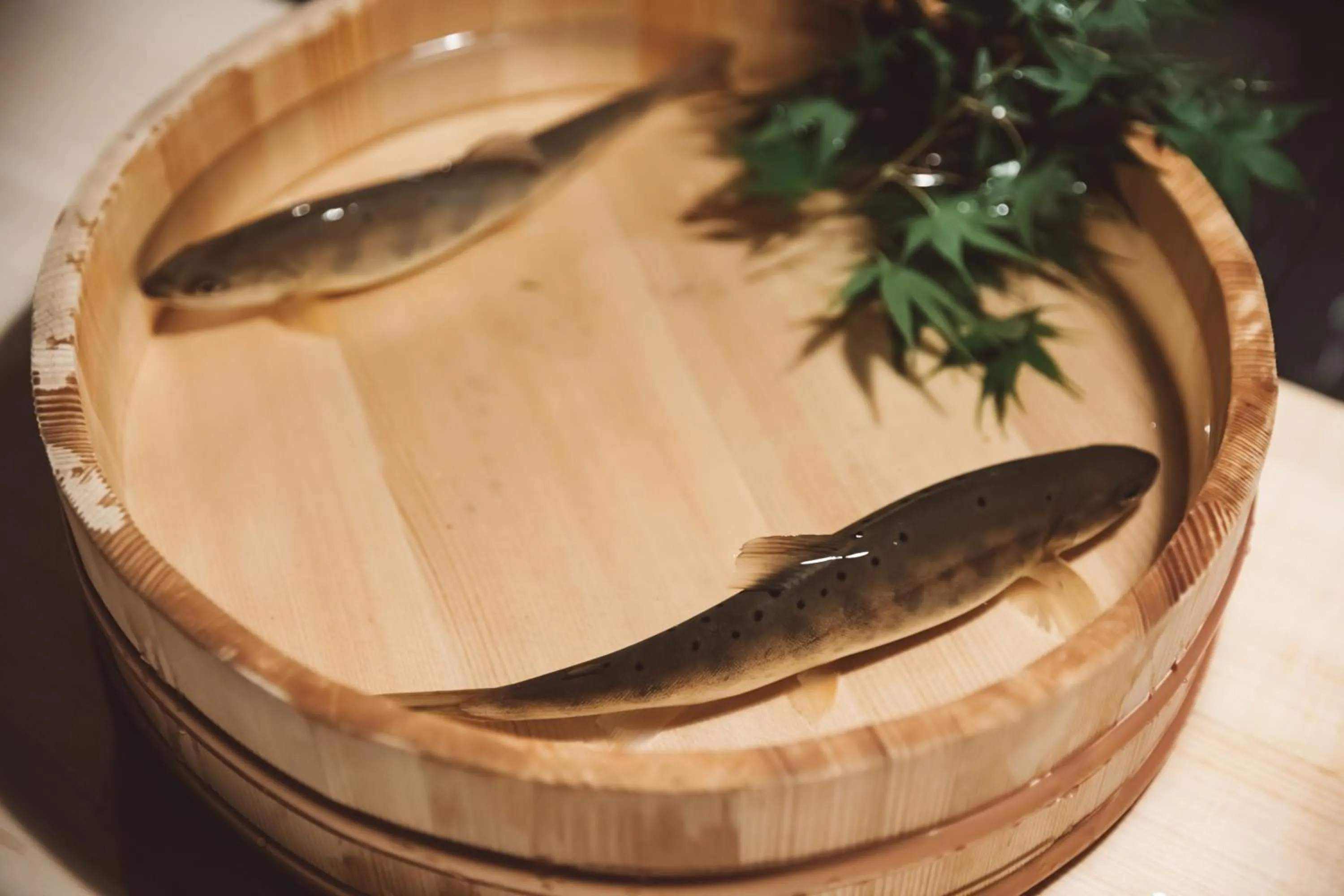 Food and drinks in NIPPONIA Kosuge Village