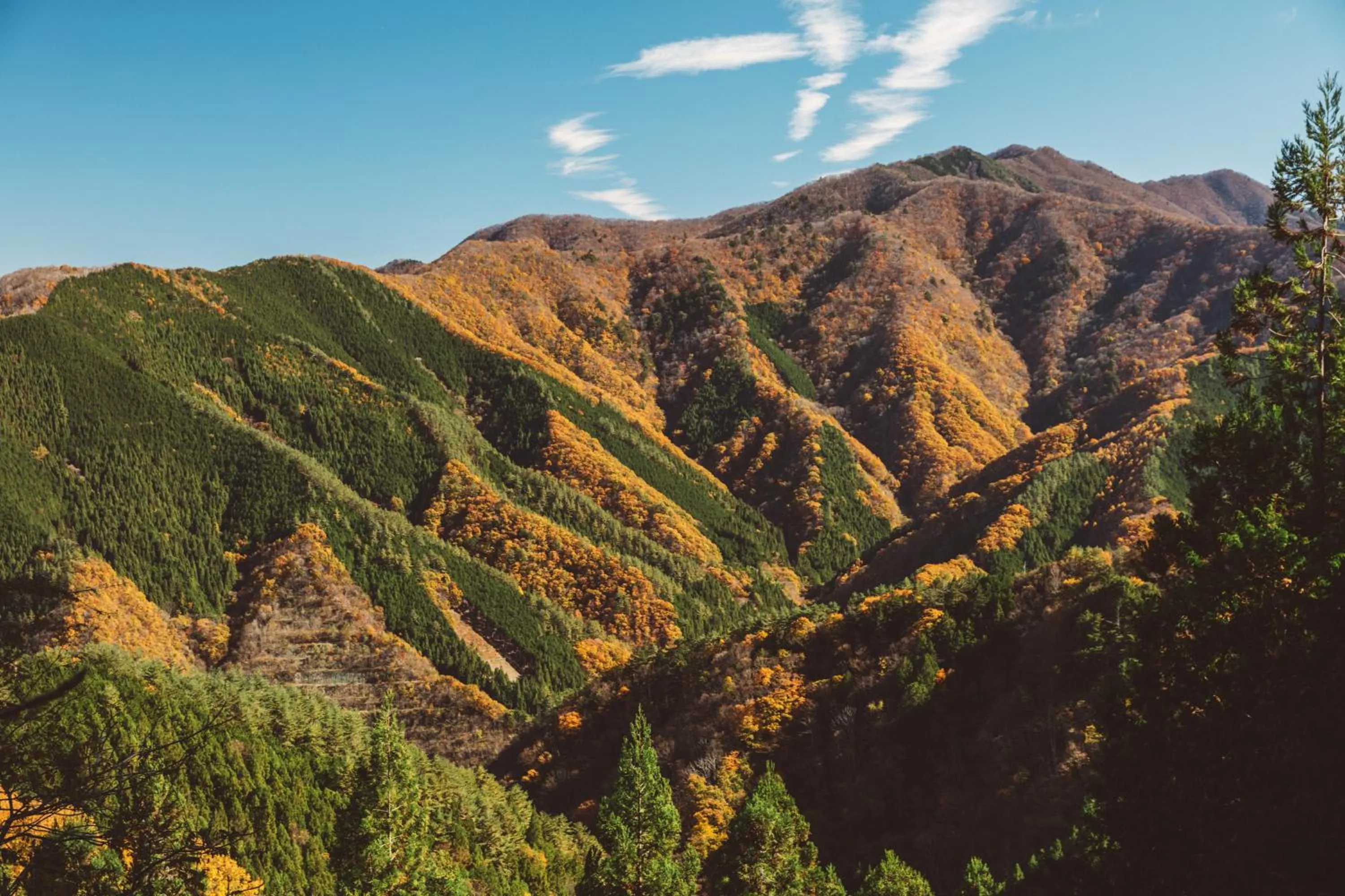 Off site in NIPPONIA Kosuge Village