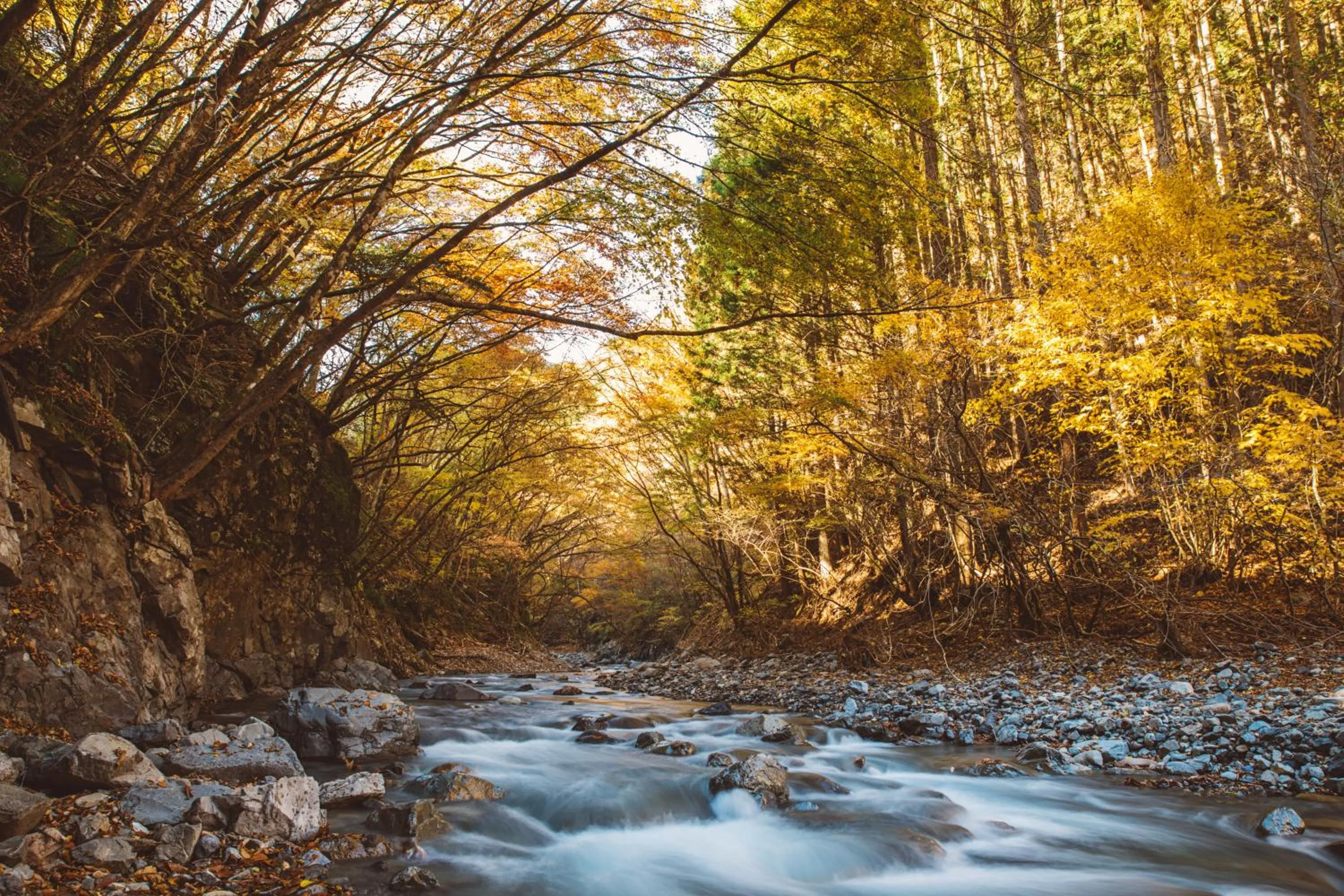 Natural landscape in NIPPONIA Kosuge Village