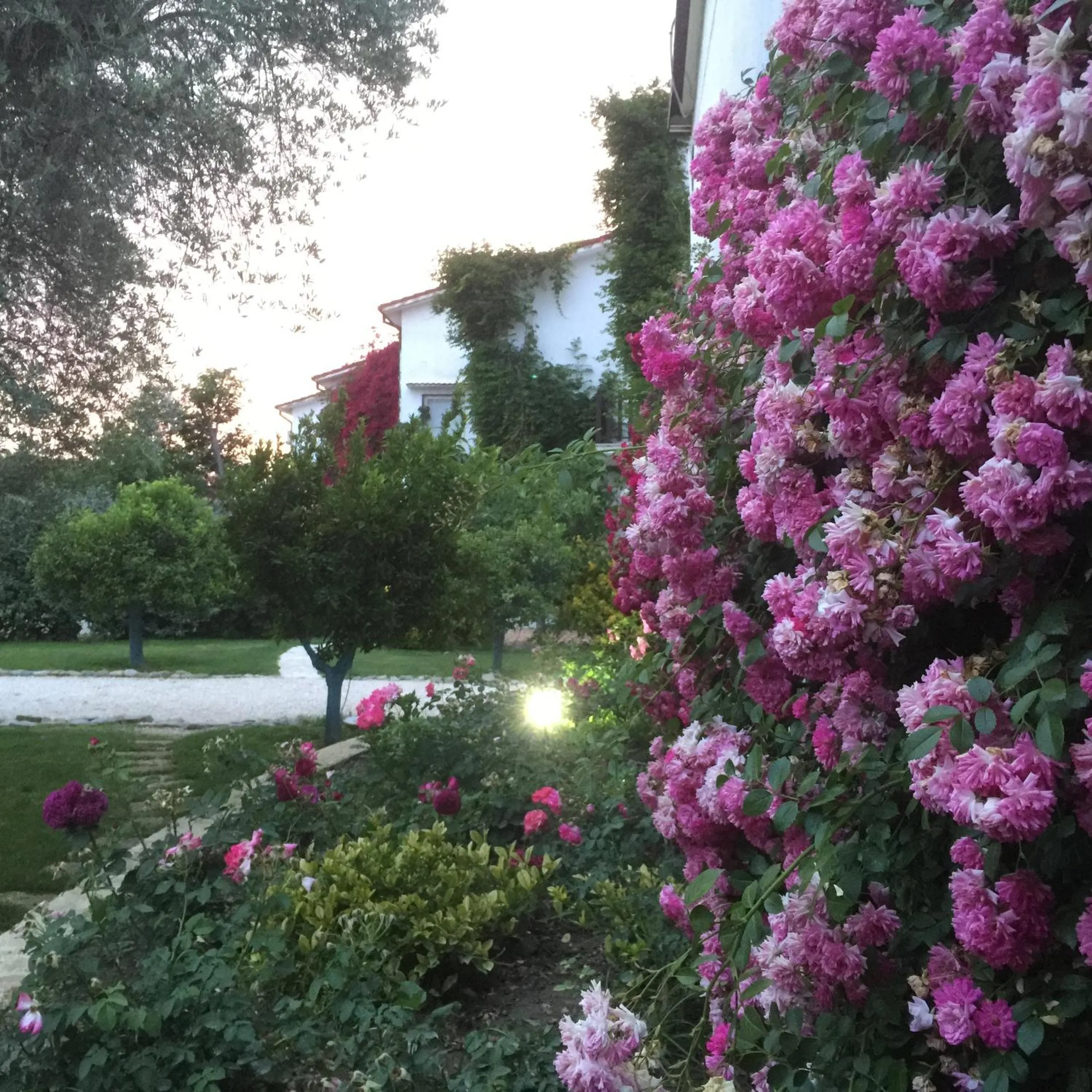 Facade/entrance in Casa Solares