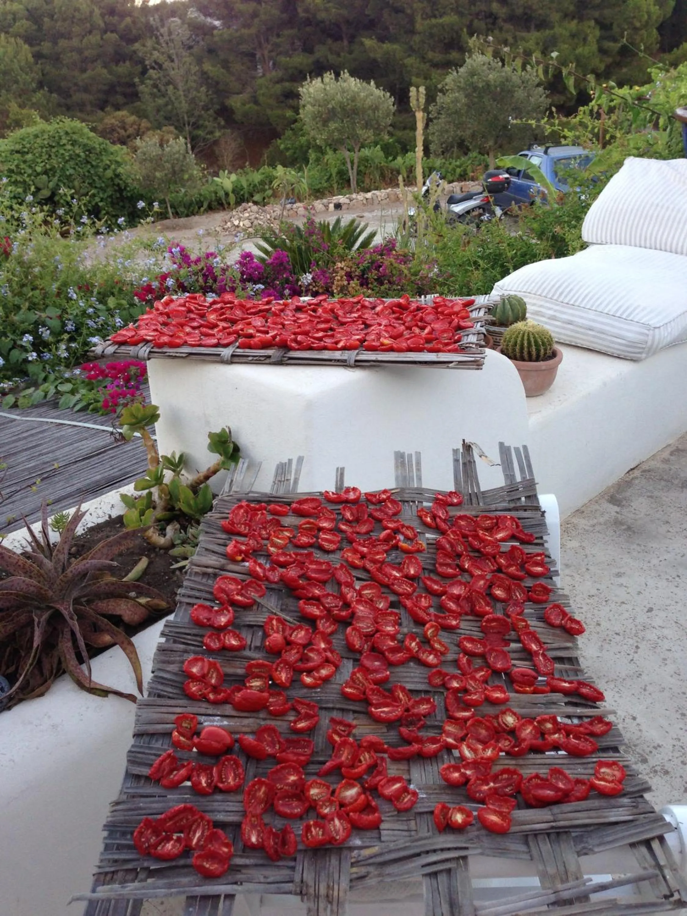 Food close-up in B&B Al Salvatore Di Lipari