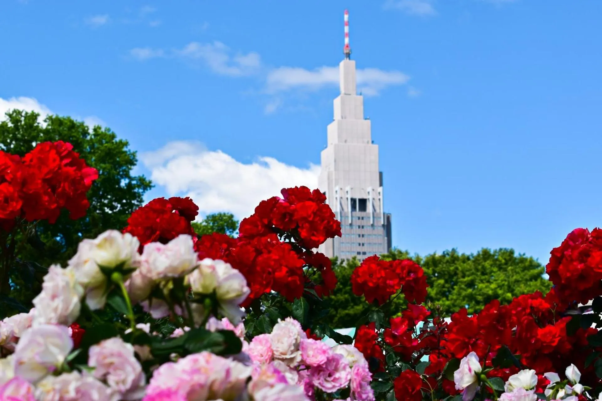 Nearby landmark in Stay SAKURA Tokyo Shinjuku Hyakukura