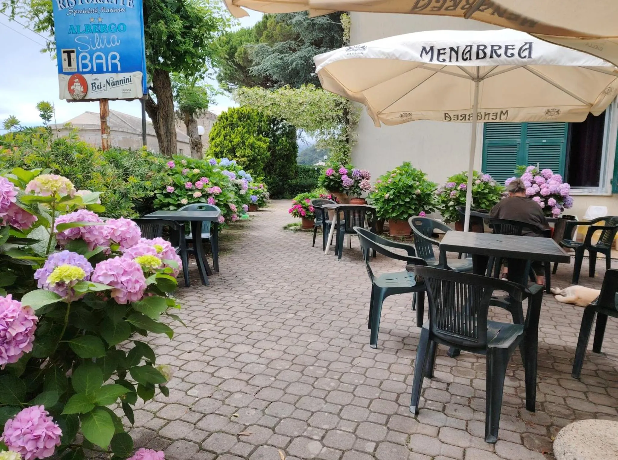 Restaurant/places to eat in Hotel Silvia Framura - Cinque Terre