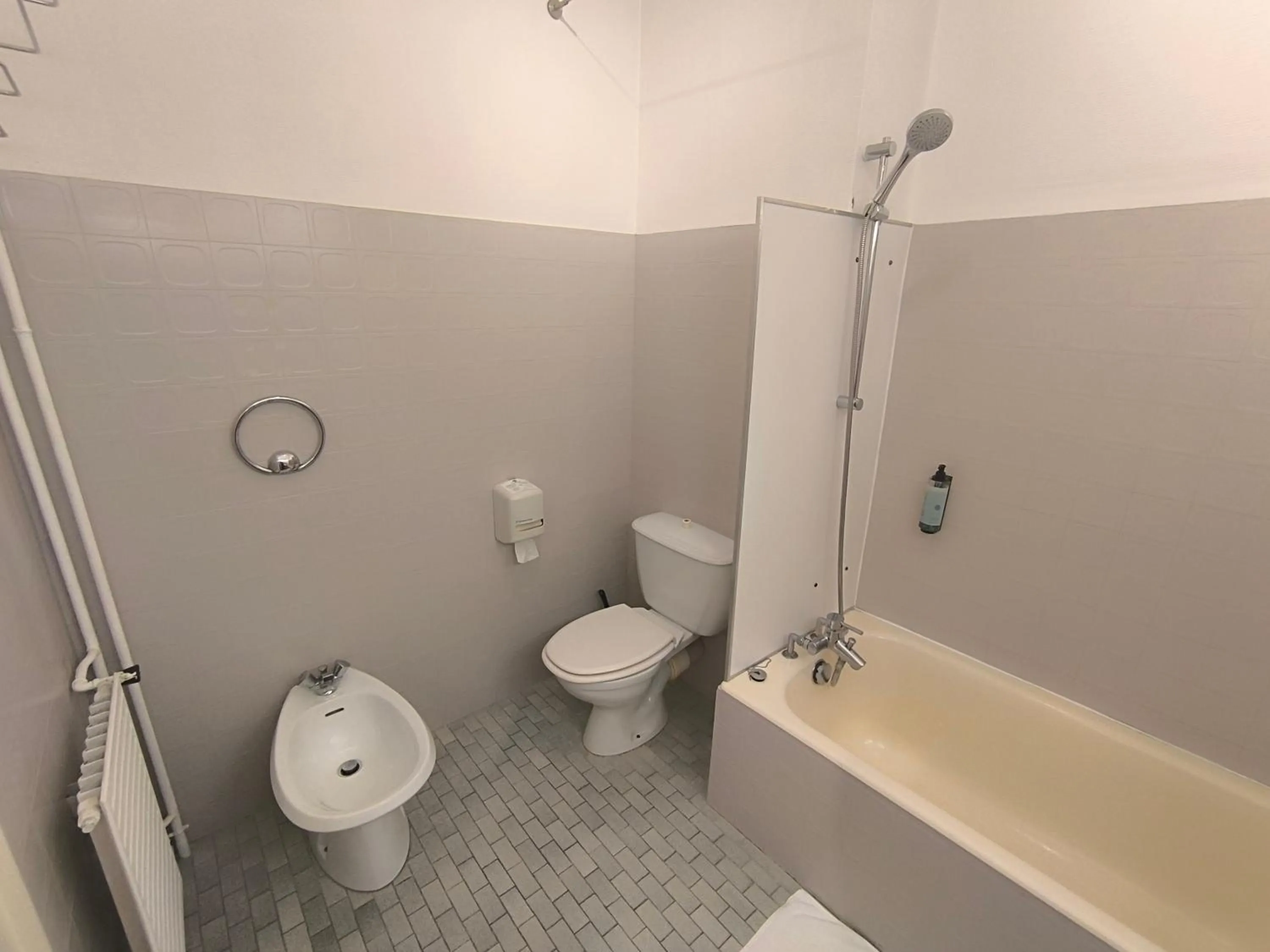 Toilet in Adonis Lyon Est Hôtel Artys