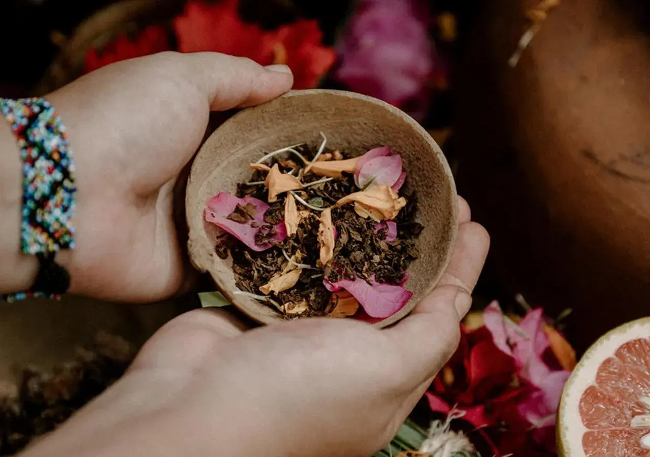 Spa and wellness centre/facilities in Hotel Bardo - Adults Only Spa and wellness centre/facilities in Hotel Bardo - Adults Only