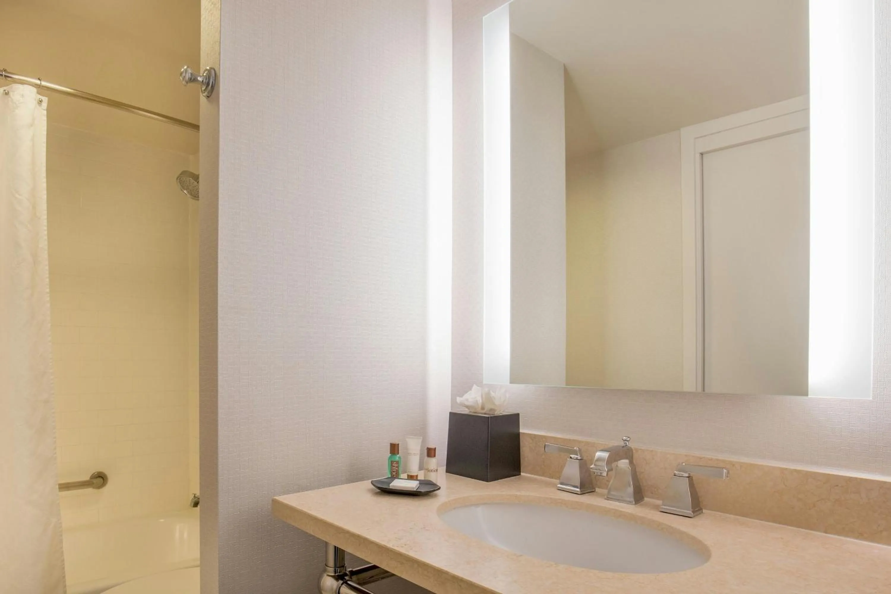 Bathroom in Sheraton Suites Chicago Elk Grove