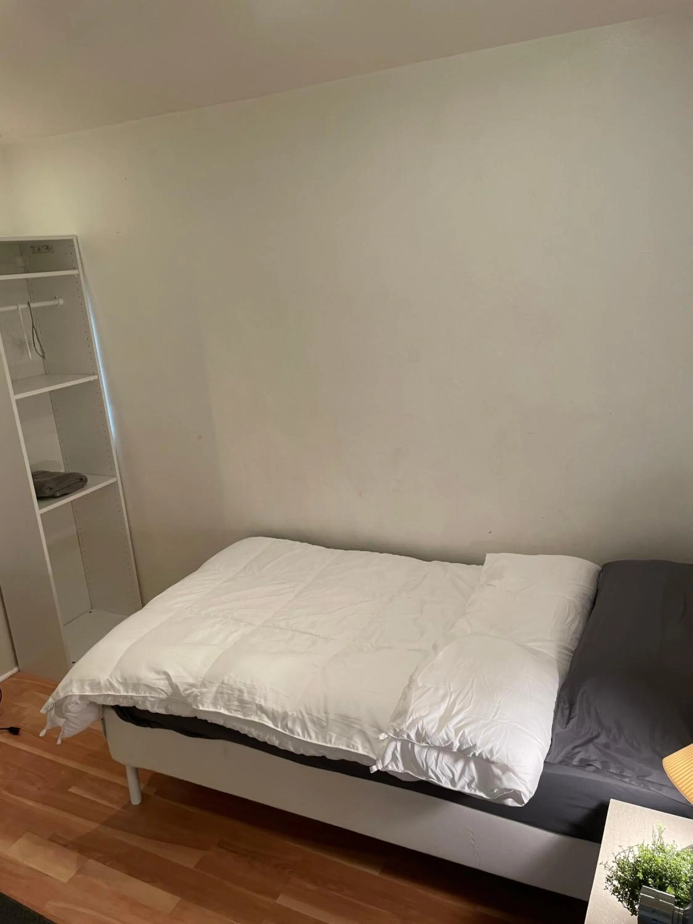 Bed in Culver City Hostel