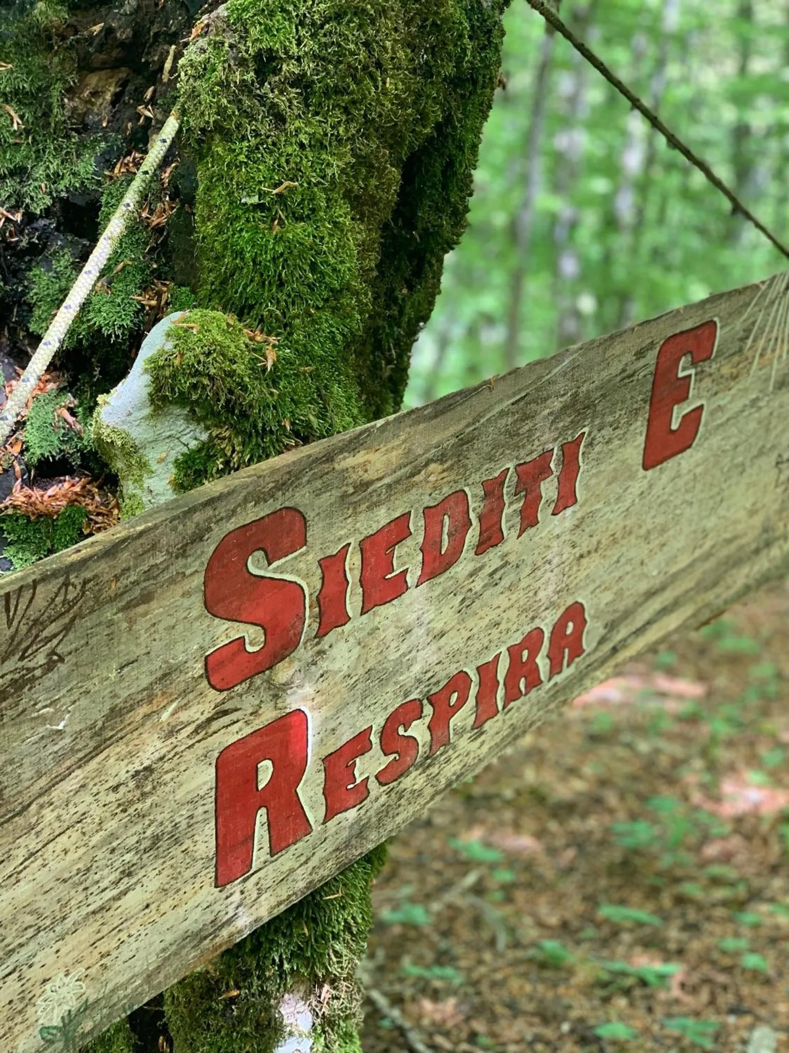 Il Duca Degli Abruzzi