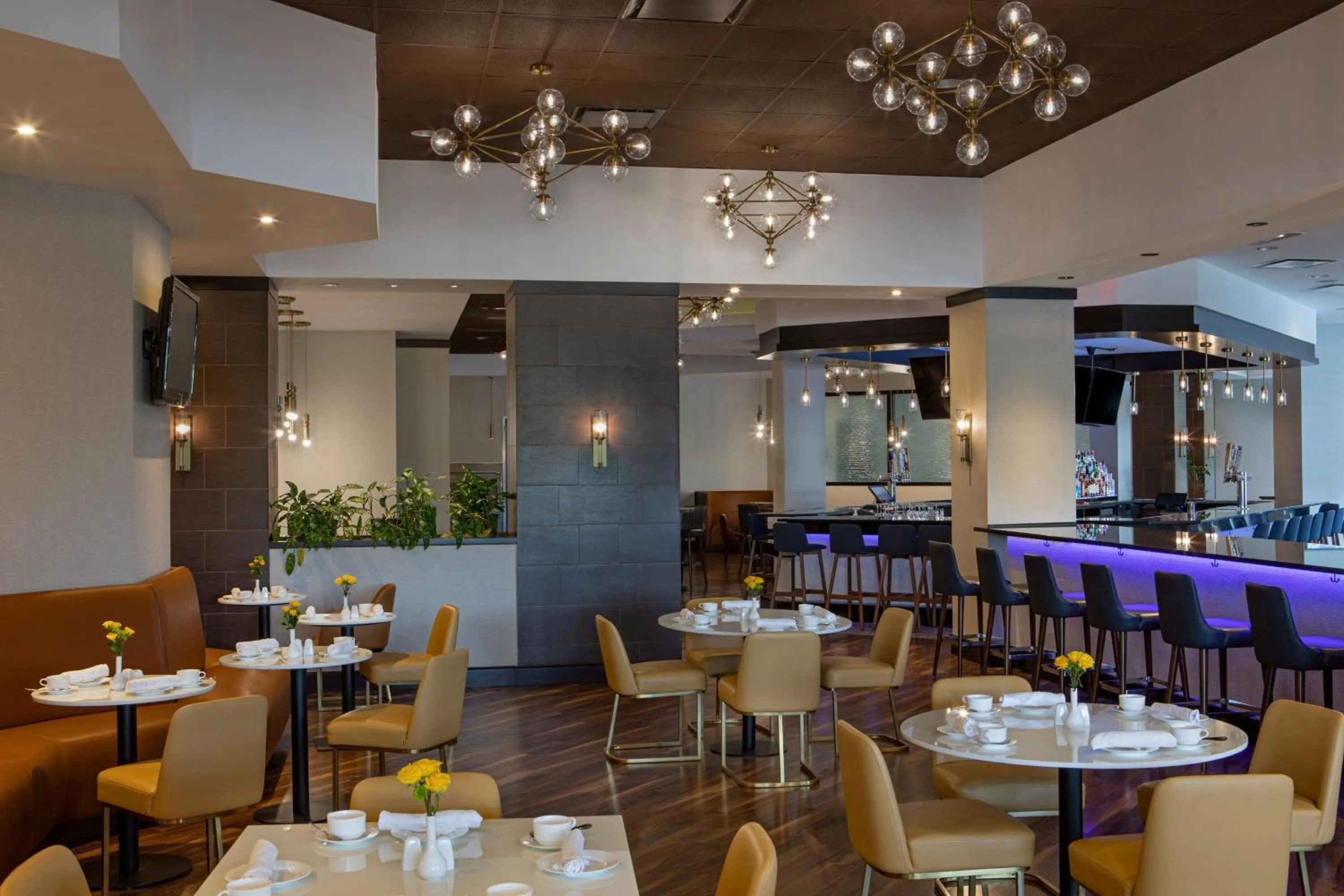 Restaurant/places to eat in Sheraton Edison