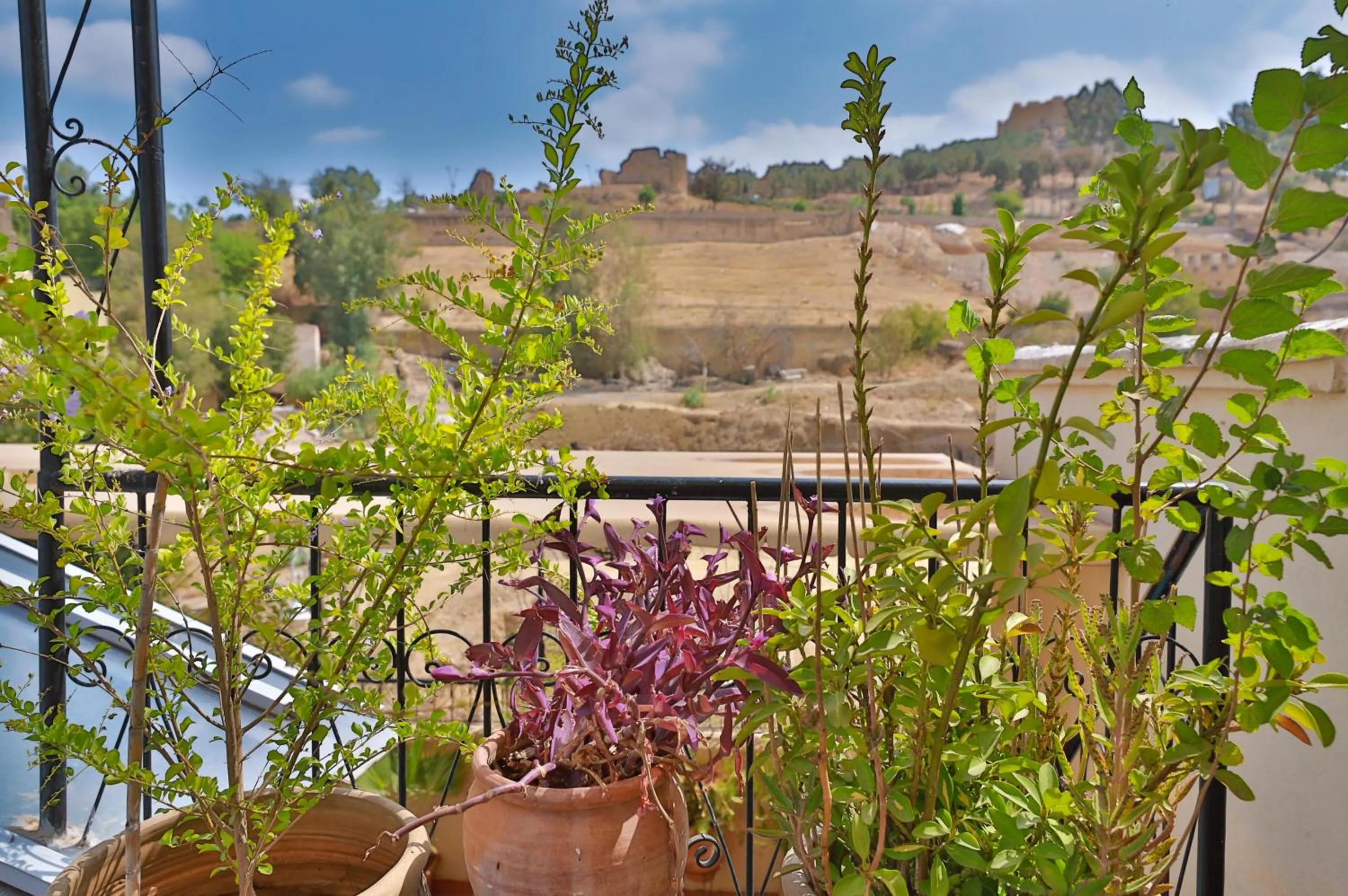 Landmark view in DAR EL AAMOURI