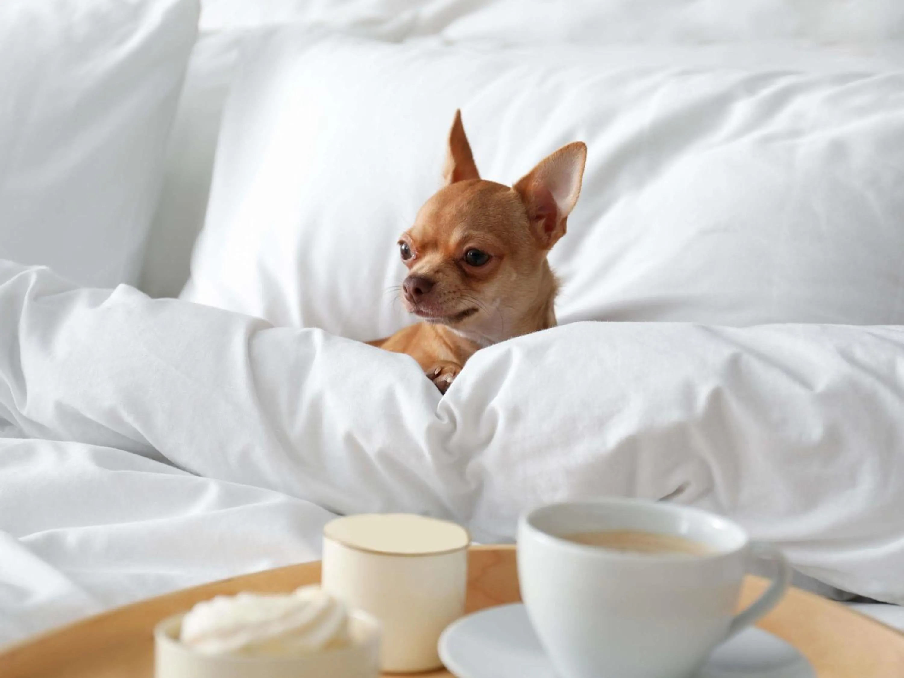 Other, Bed in Mercure Aix-les-Bains Domaine de Marlioz Hôtel & Spa