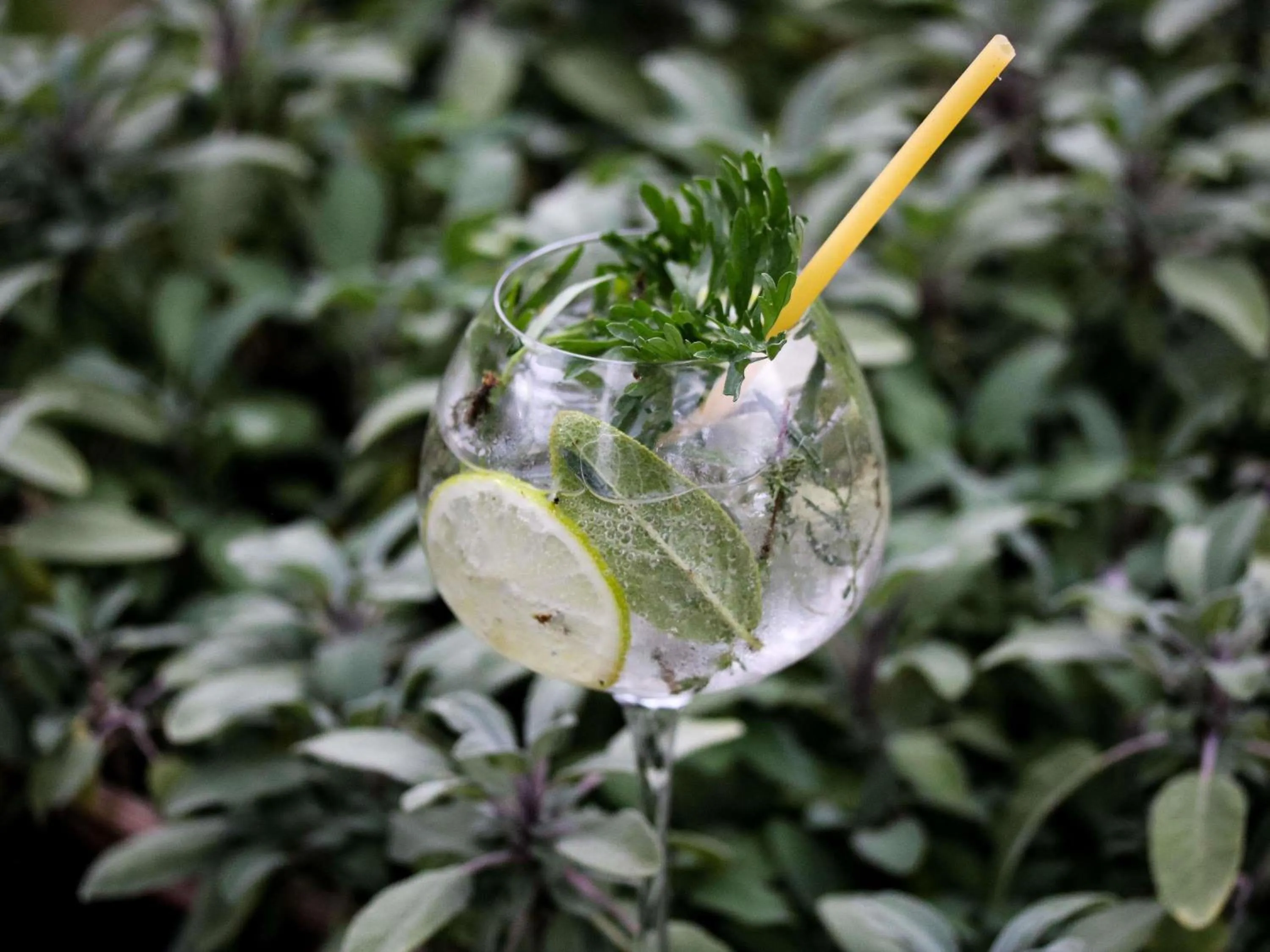 Lounge or bar in Mercure Aix-les-Bains Domaine de Marlioz Hôtel & Spa