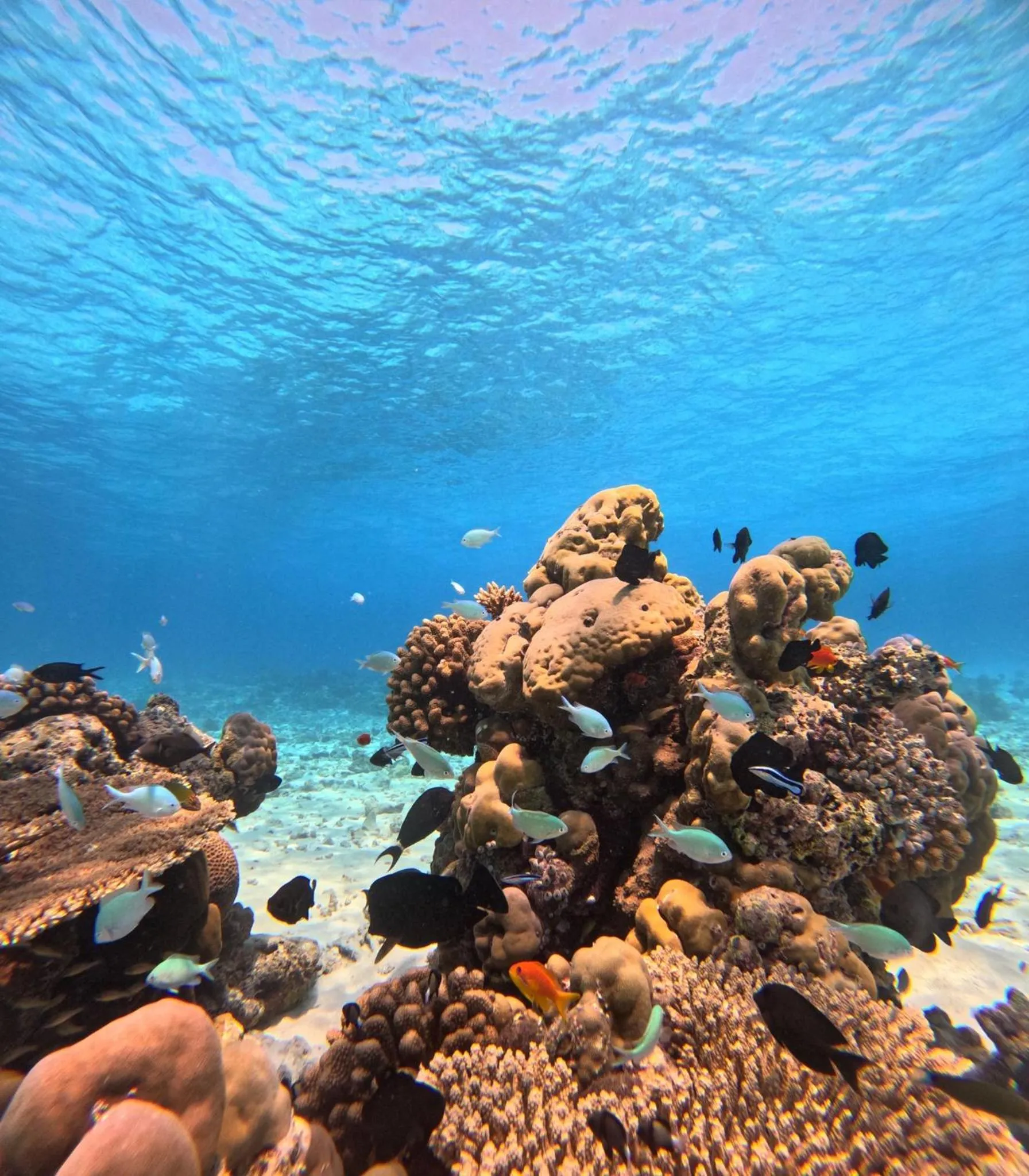 Snorkeling in Nirili Villa