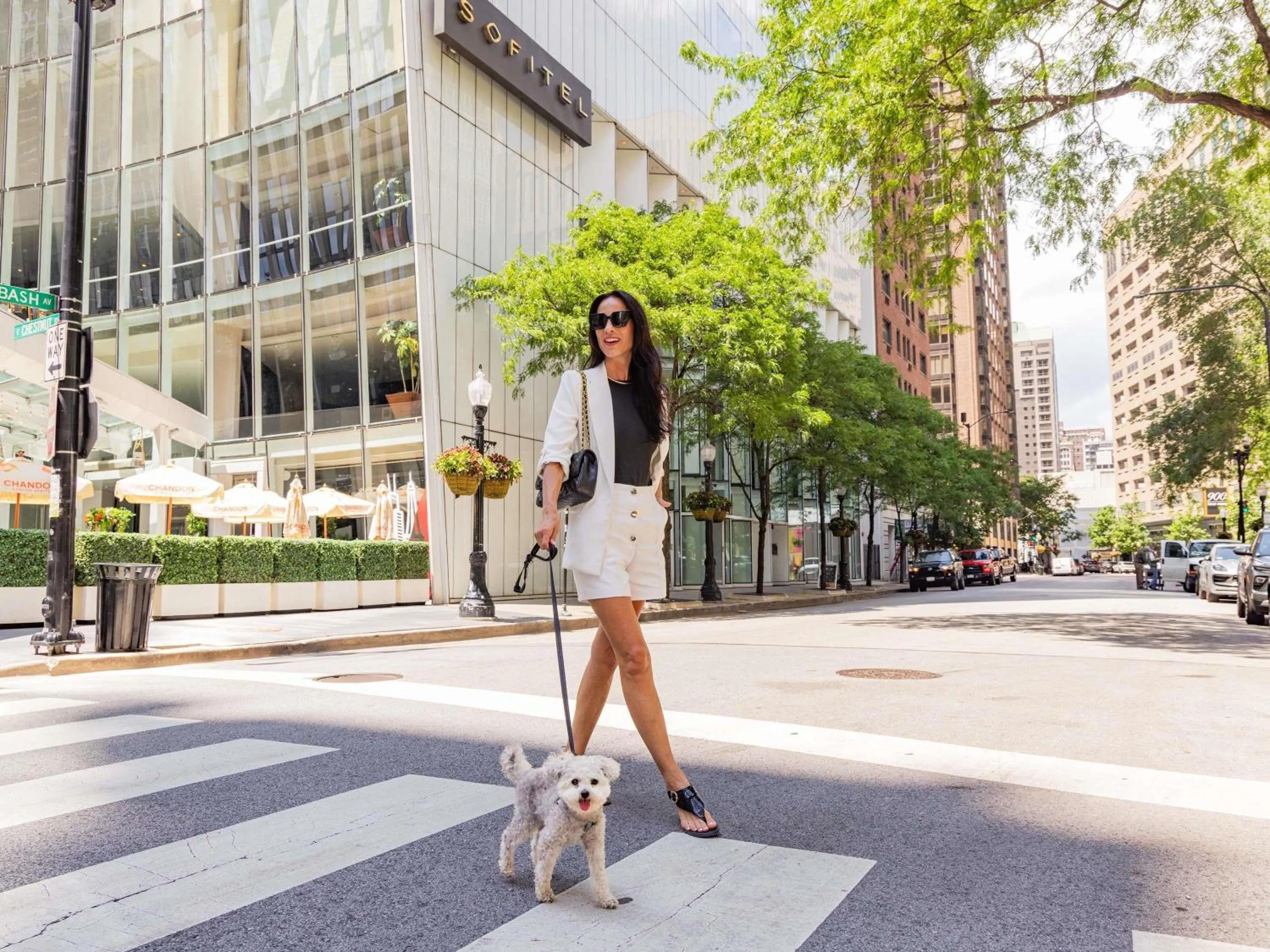 Property building in Sofitel Chicago Magnificent Mile