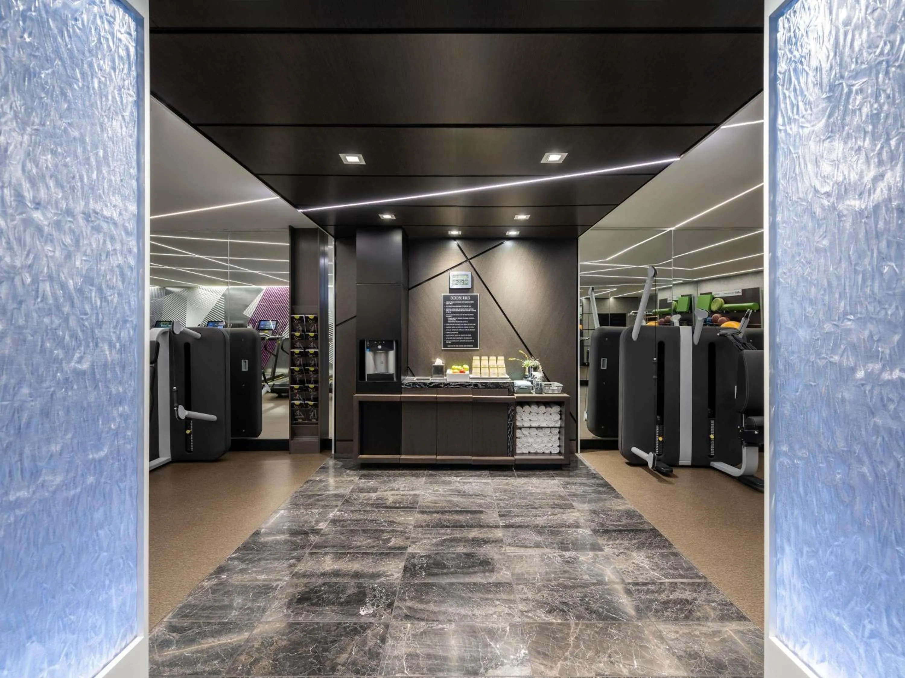 Fitness centre/facilities in Sofitel Chicago Magnificent Mile