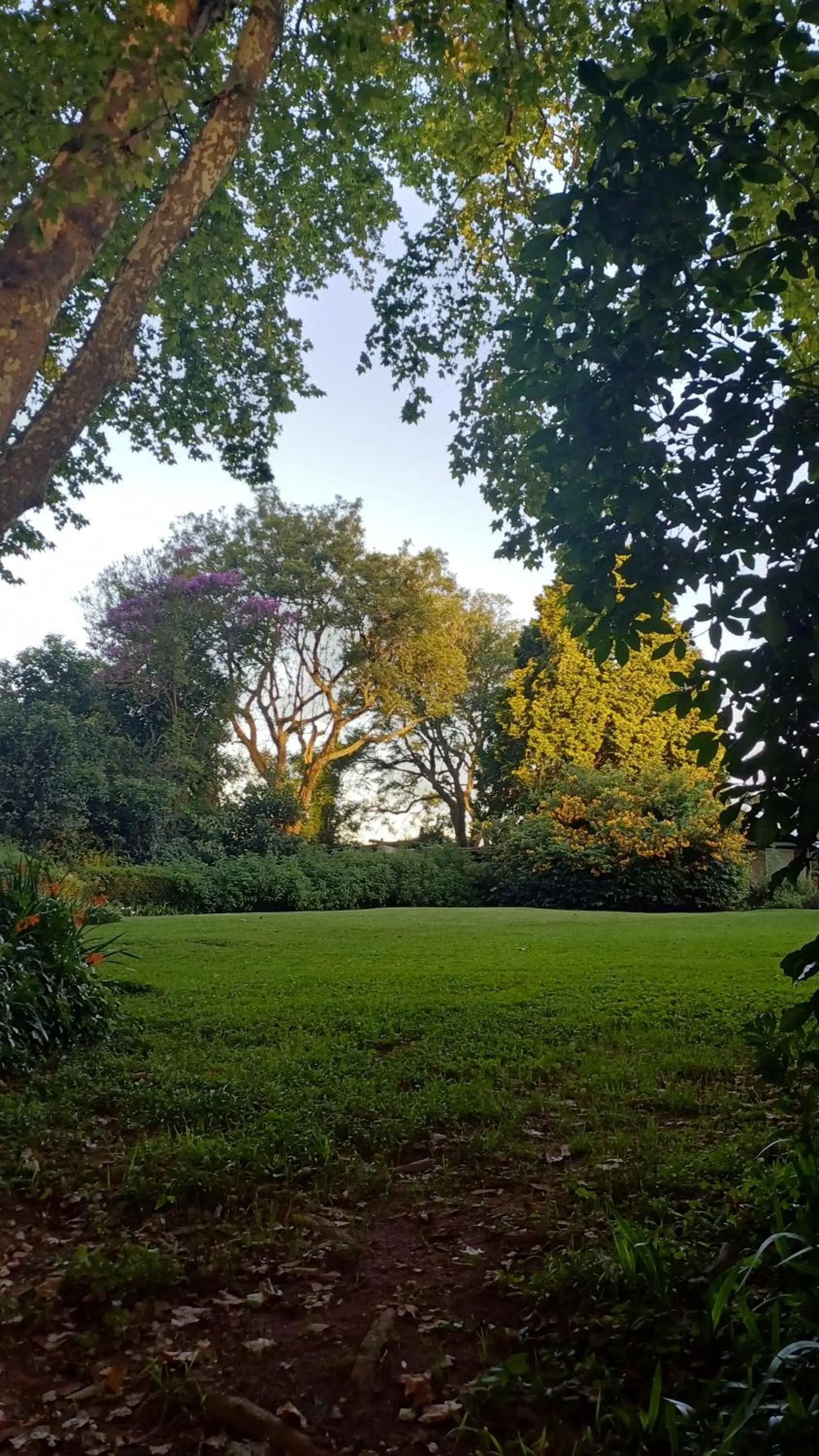 Garden in Umoya
