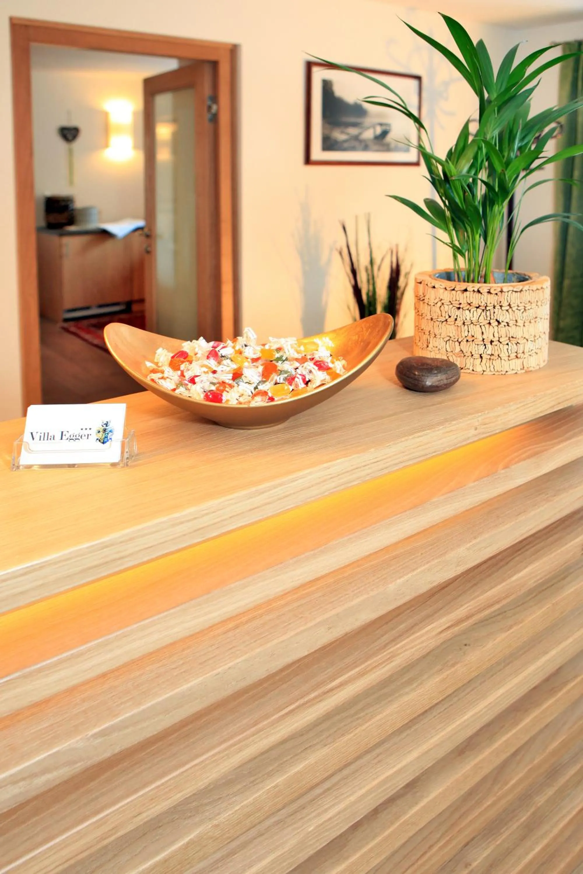 Lobby or reception in Villa Egger