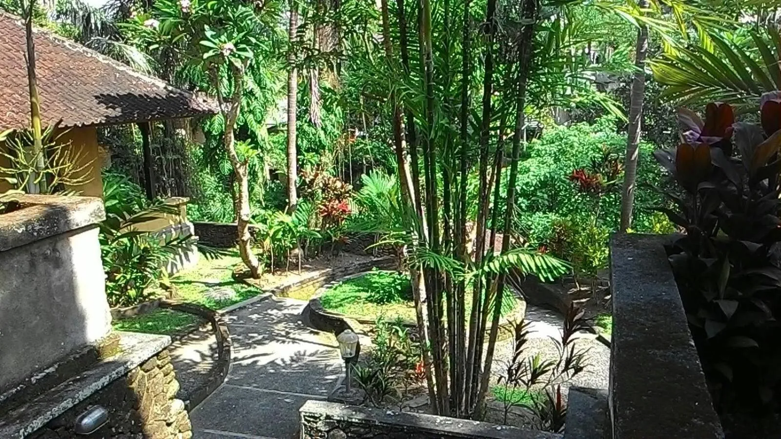 Garden in Sari Wangi Cottage