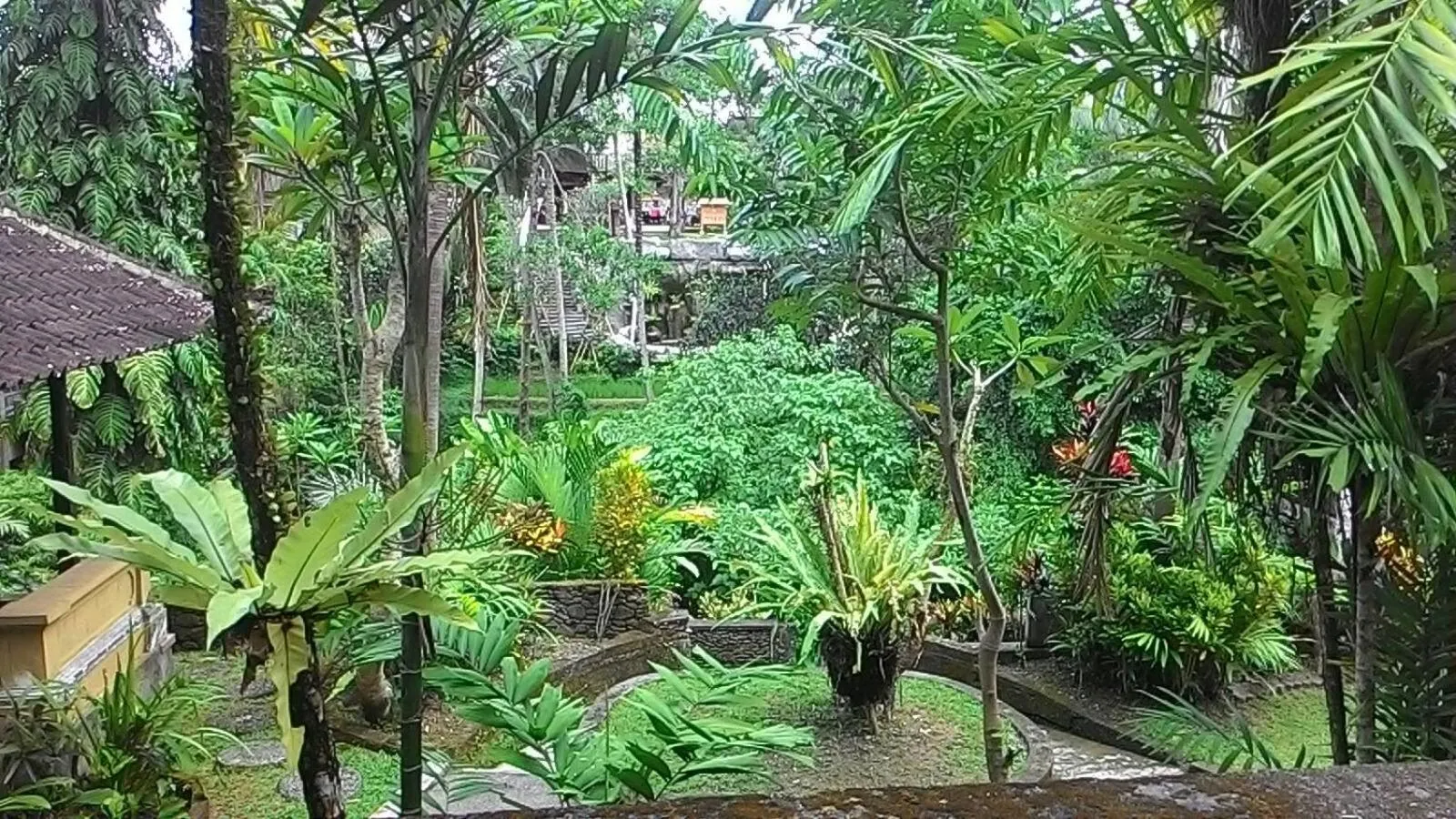 Natural landscape in Sari Wangi Cottage