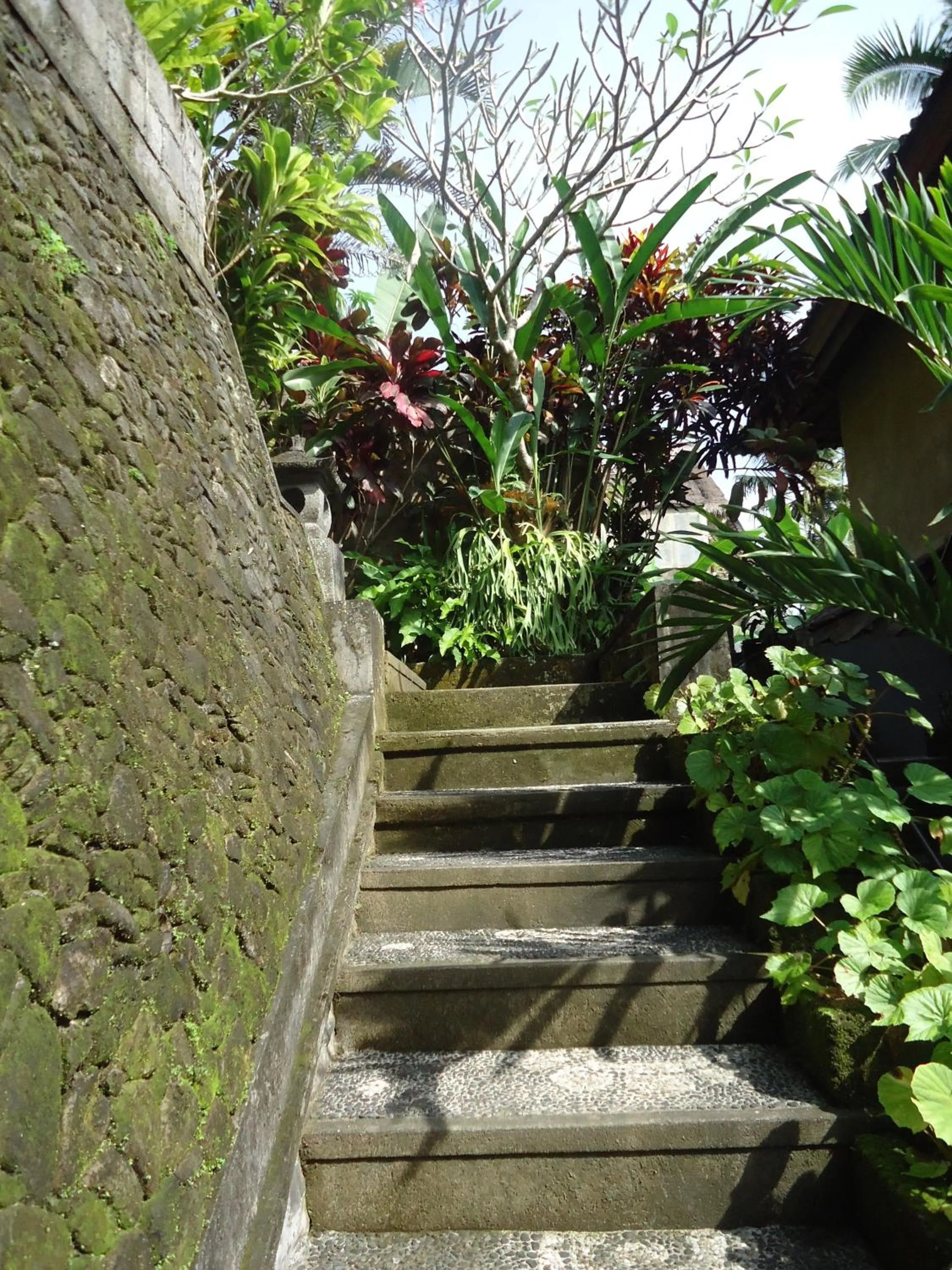 Facade/entrance in Sari Wangi Cottage