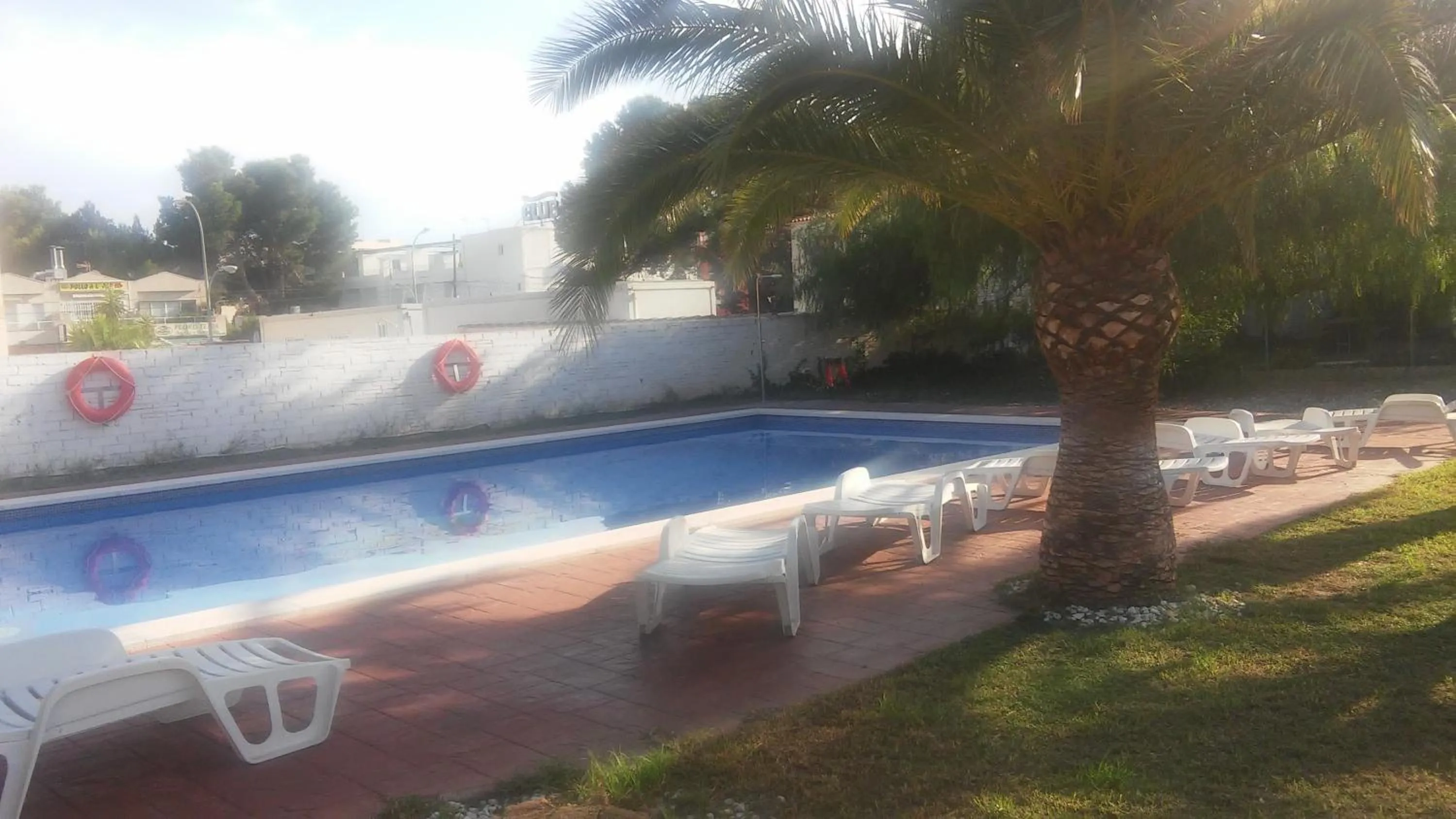 Swimming pool in Hotel Plaza Miami - Sólo Adultos