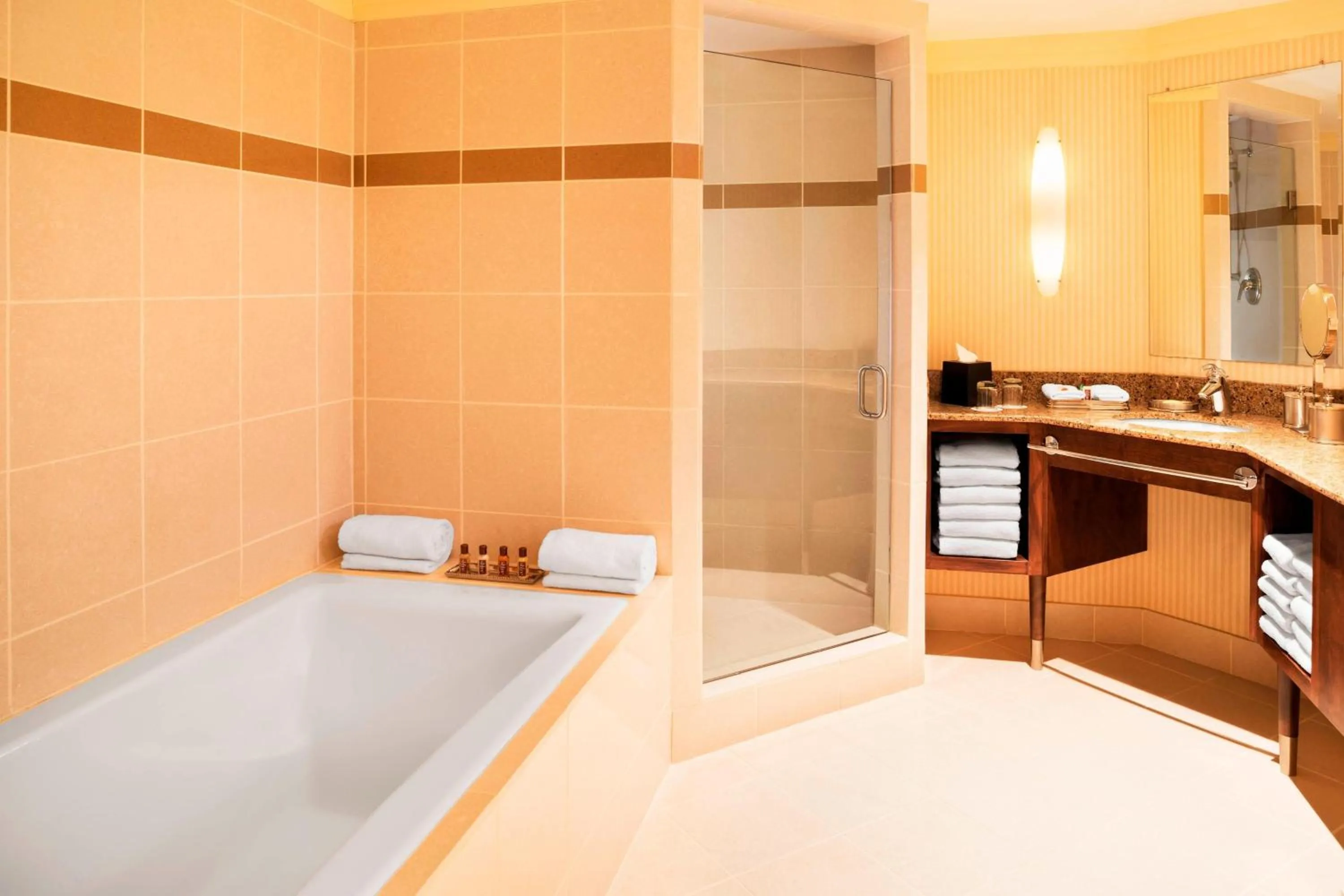 Bathroom in Sheraton Bloomington