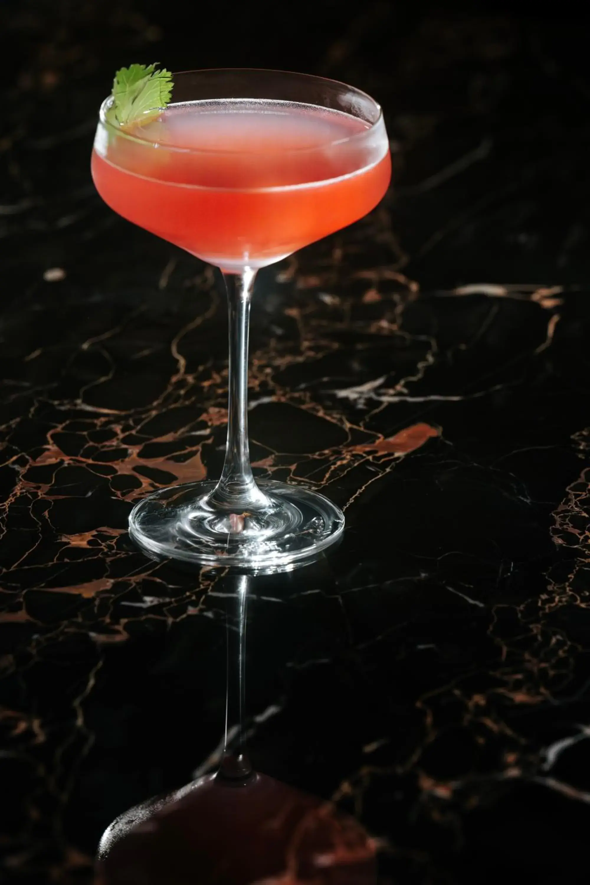 Lounge or bar in Sofitel New York Lounge or bar in Sofitel New York