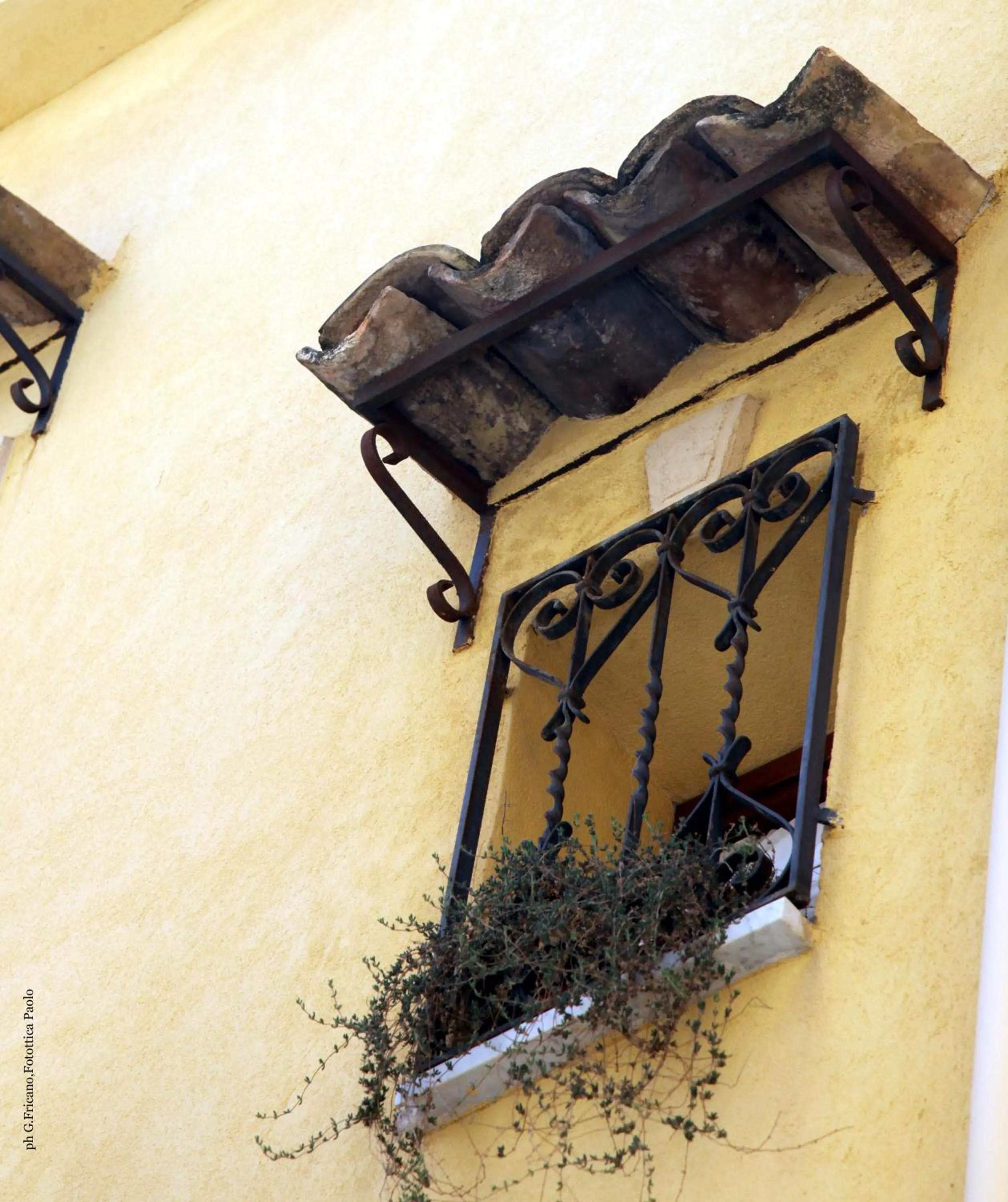 Property building in Donna Lia
