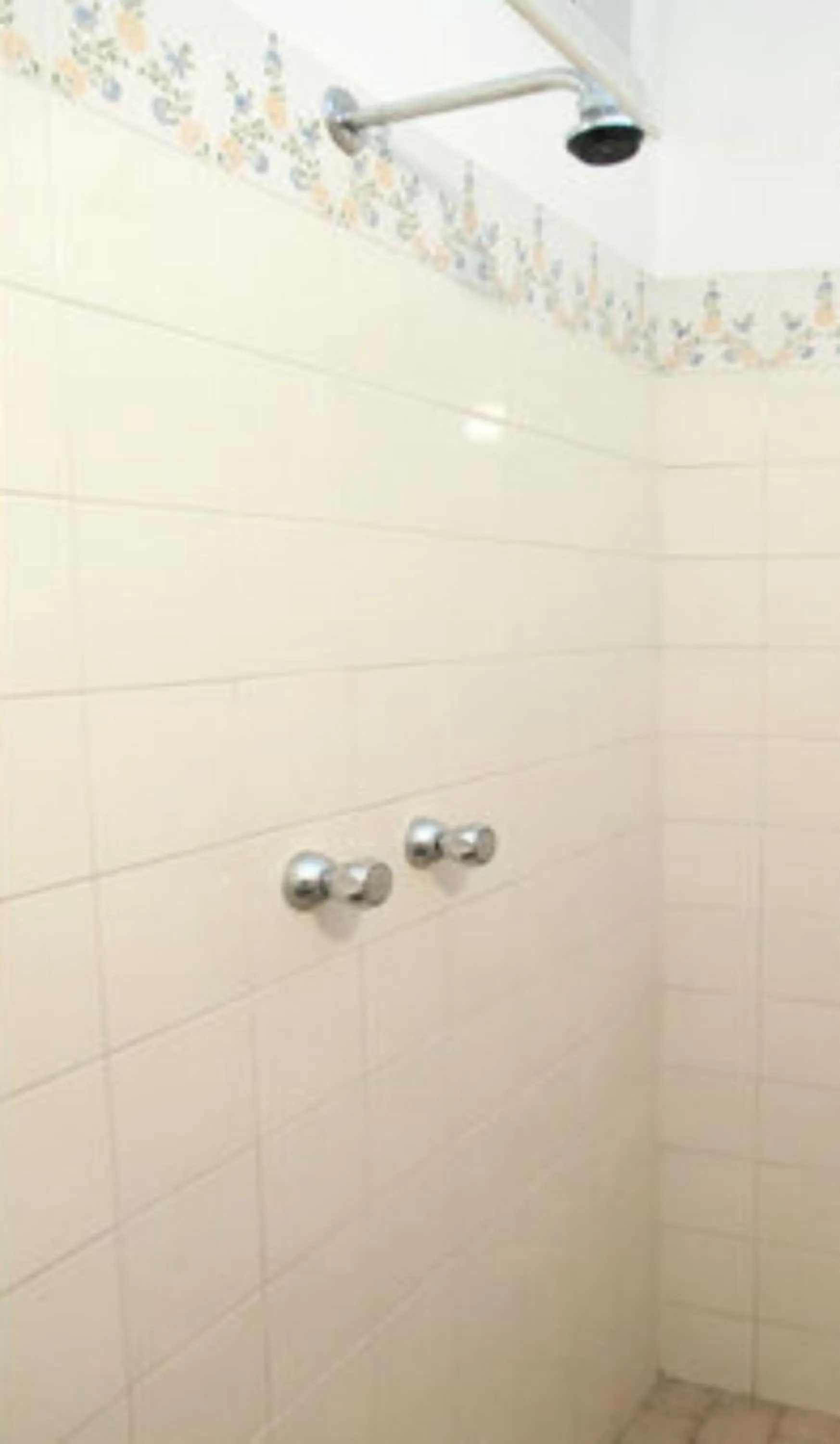 Shower in Hotel Ronconi