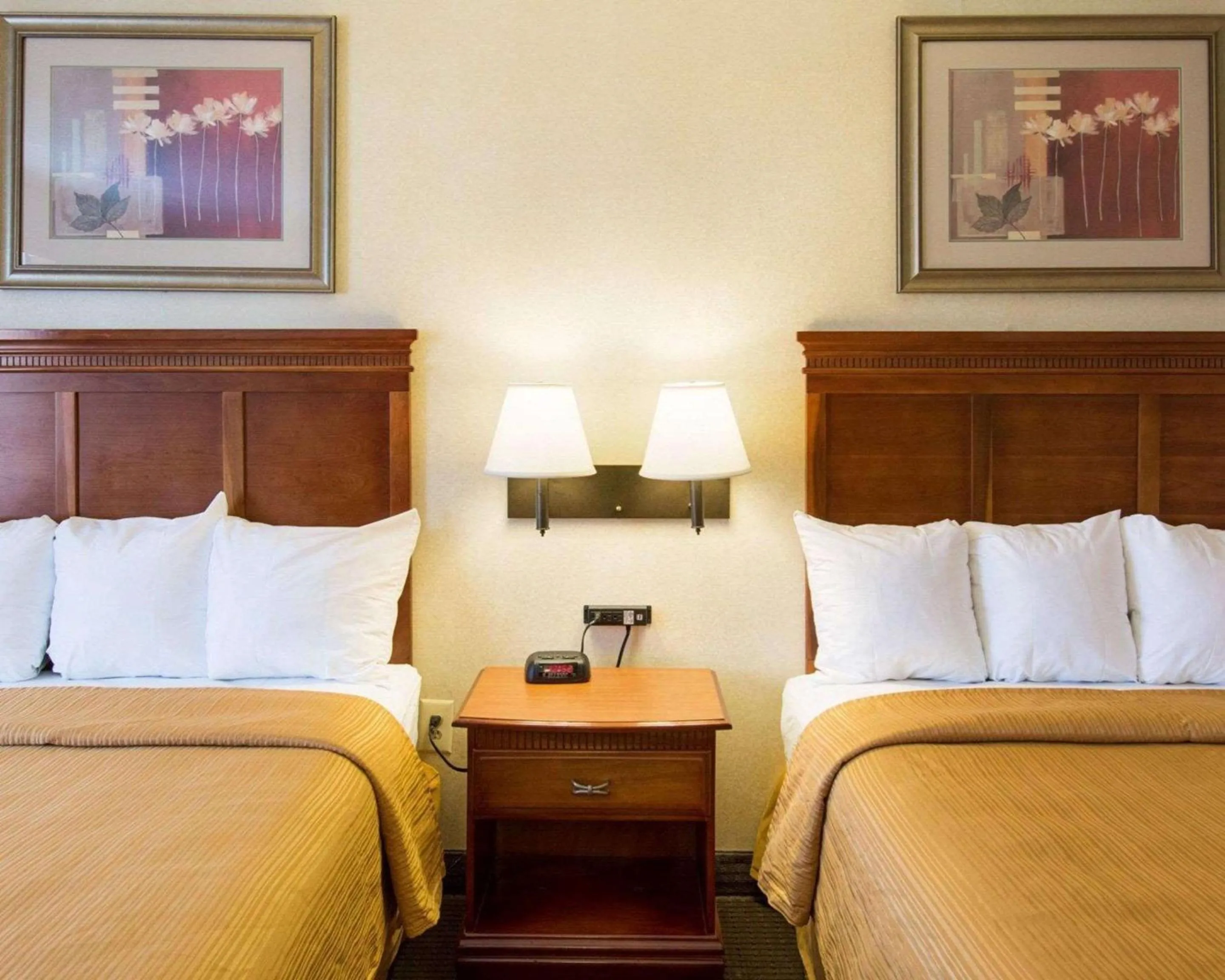 Photo of the whole room, Bed in Quality Inn Takoma Park