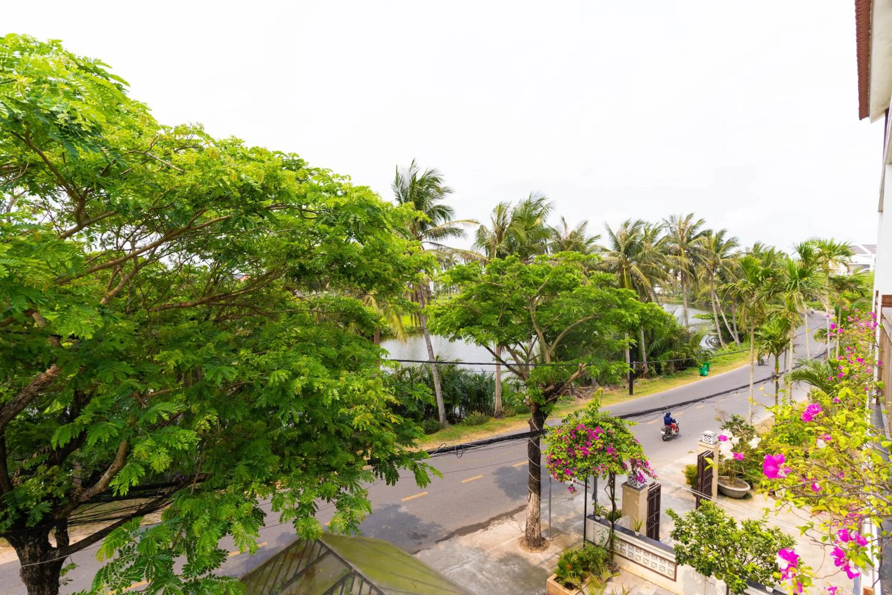 View (from property/room) in Haemer Villa Green Hearth Stay