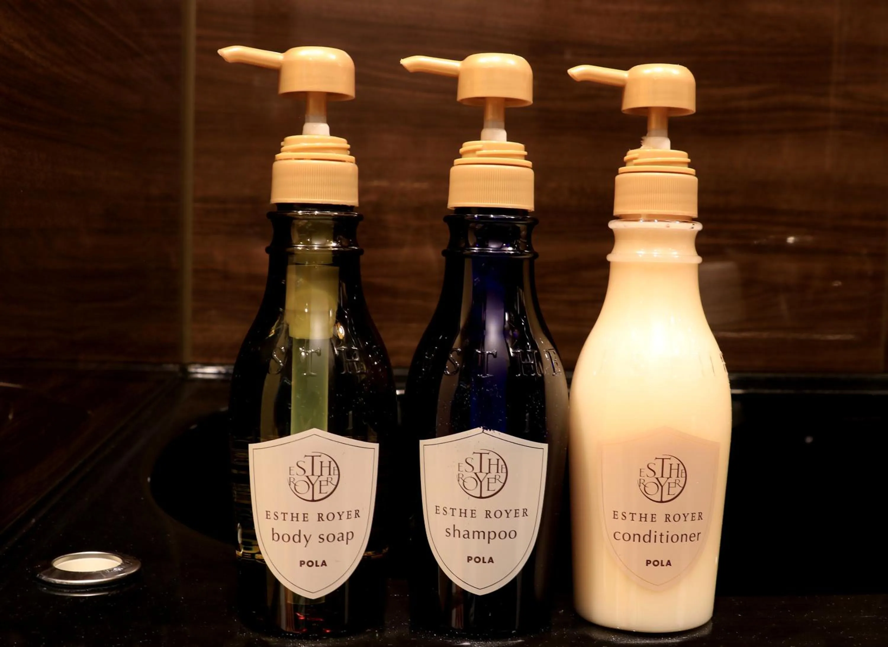 Hotel Traveling Bridge Nijojo