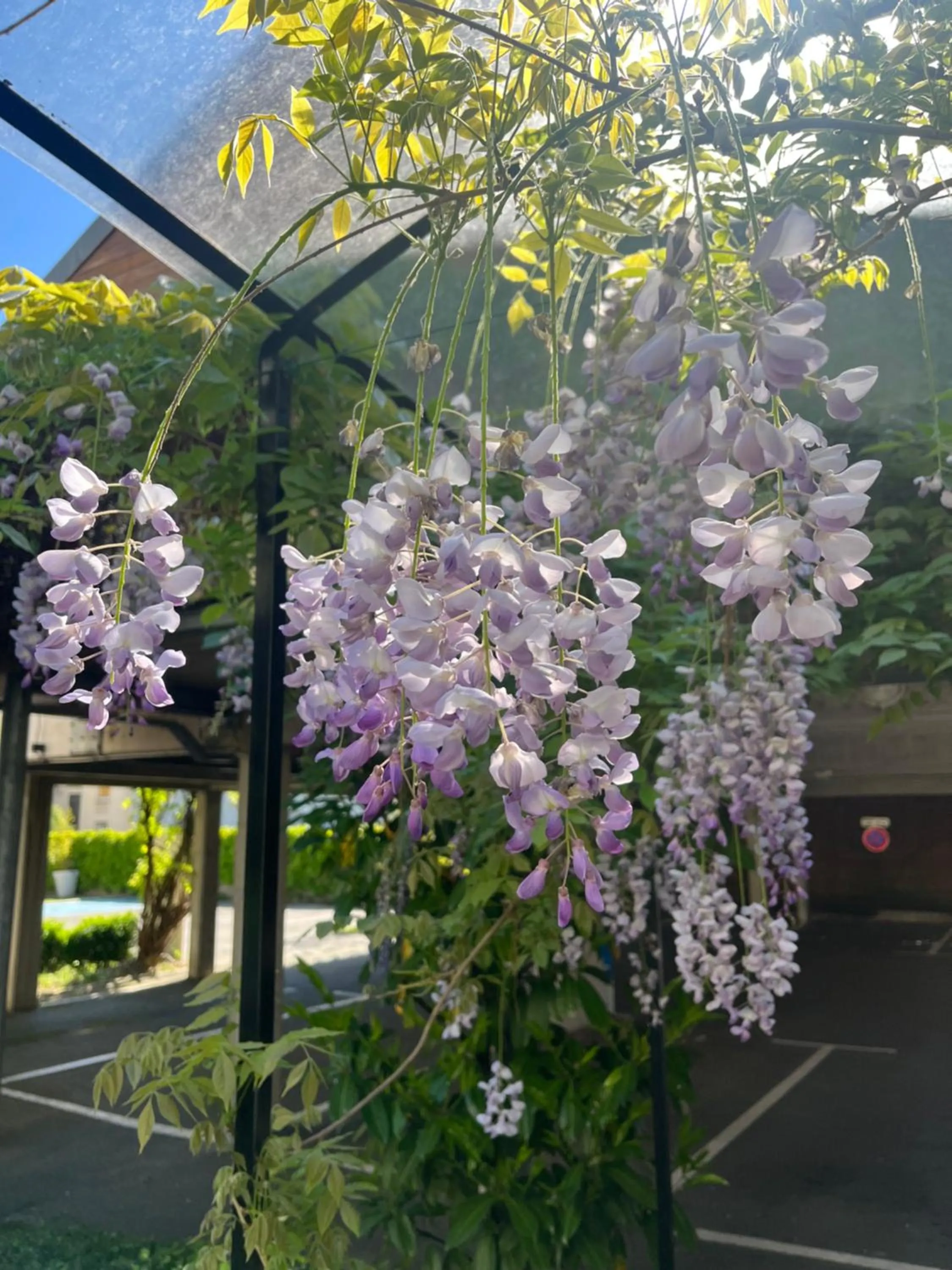 Garden in Logis Hôtel Victor Hugo & Spa