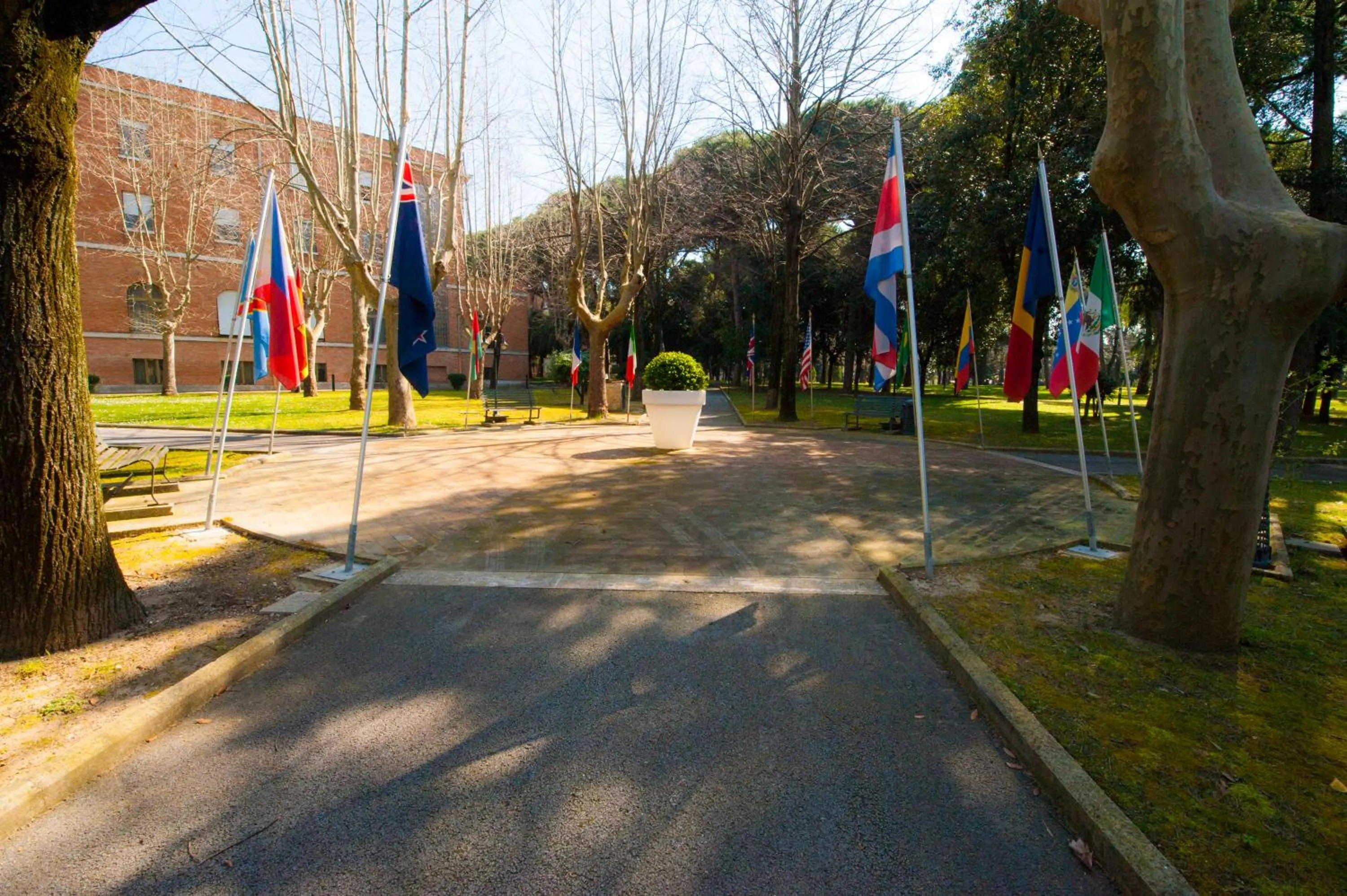 Garden in Casa La Salle - Roma Vaticano