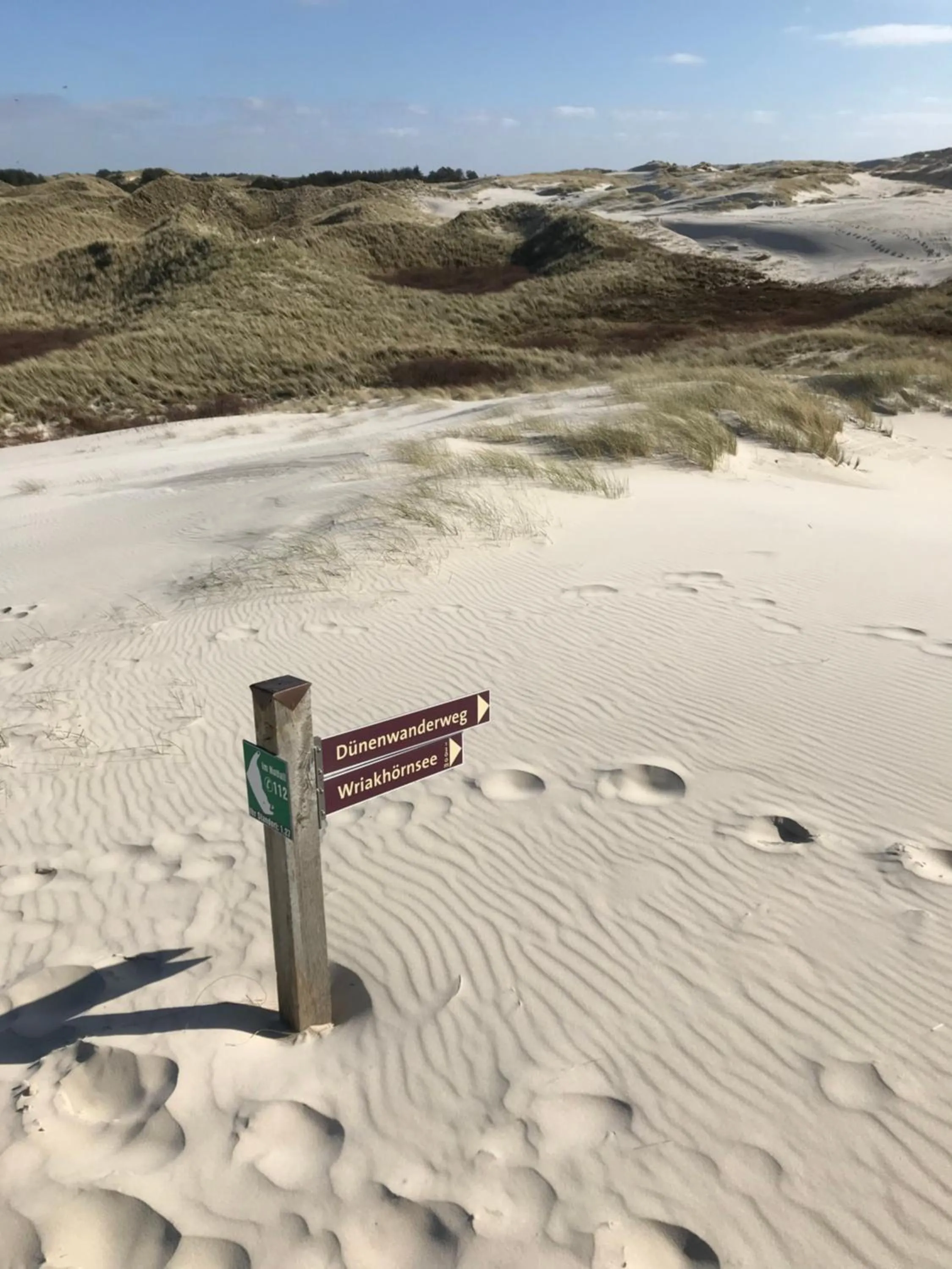 Natural landscape in Hotel Südstrand Amrum