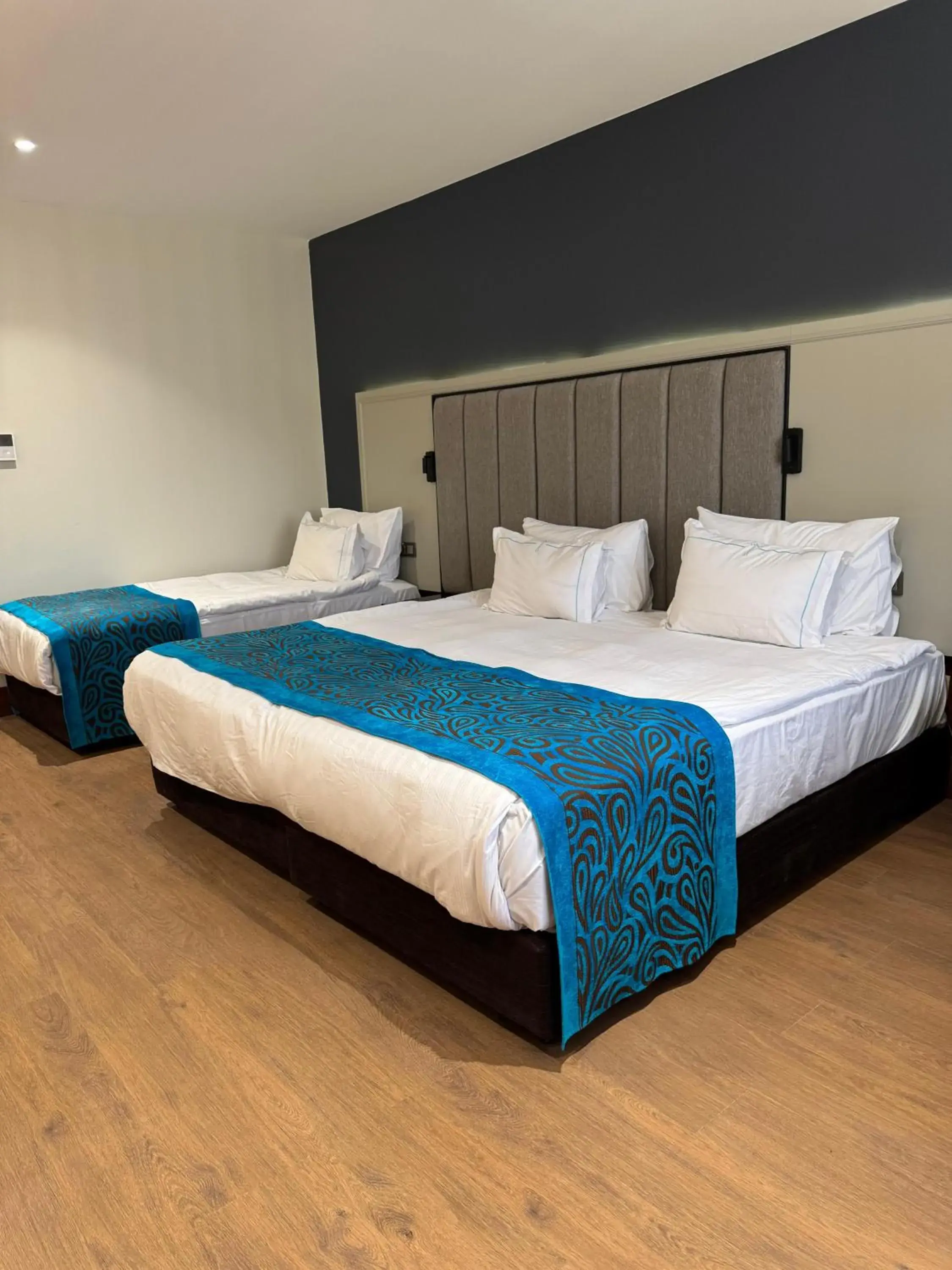 Triple Room in Teymur Continental Hotel Triple Room in Teymur Continental Hotel