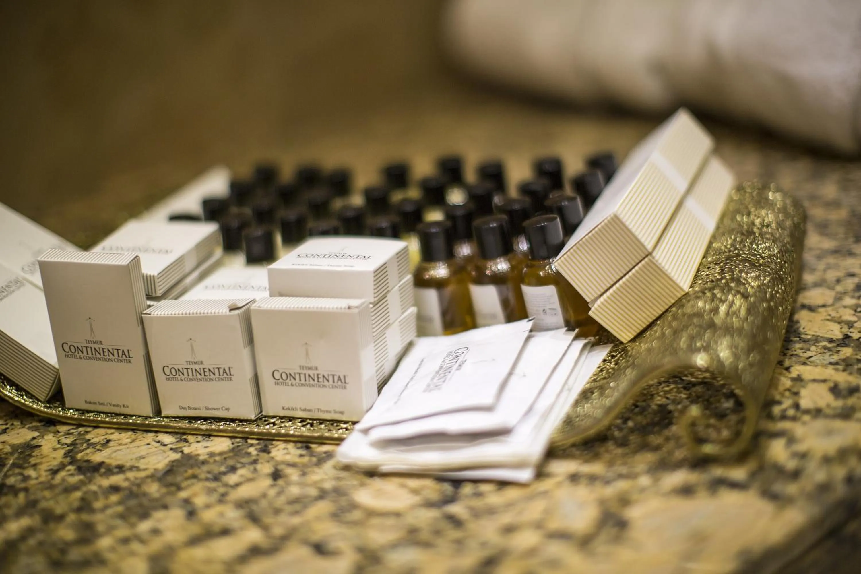 Shower in Teymur Continental Hotel