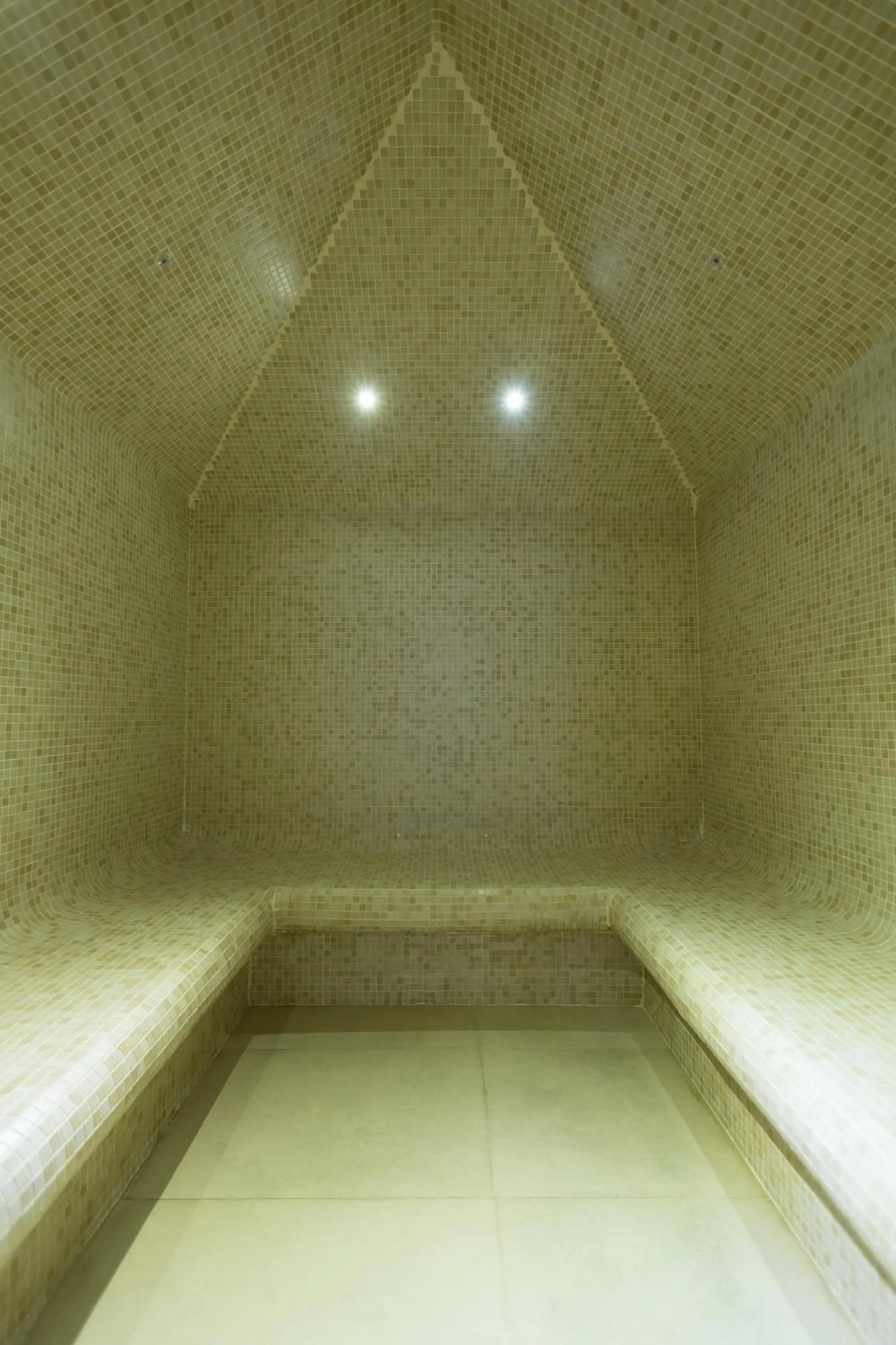 Steam room in Teymur Continental Hotel