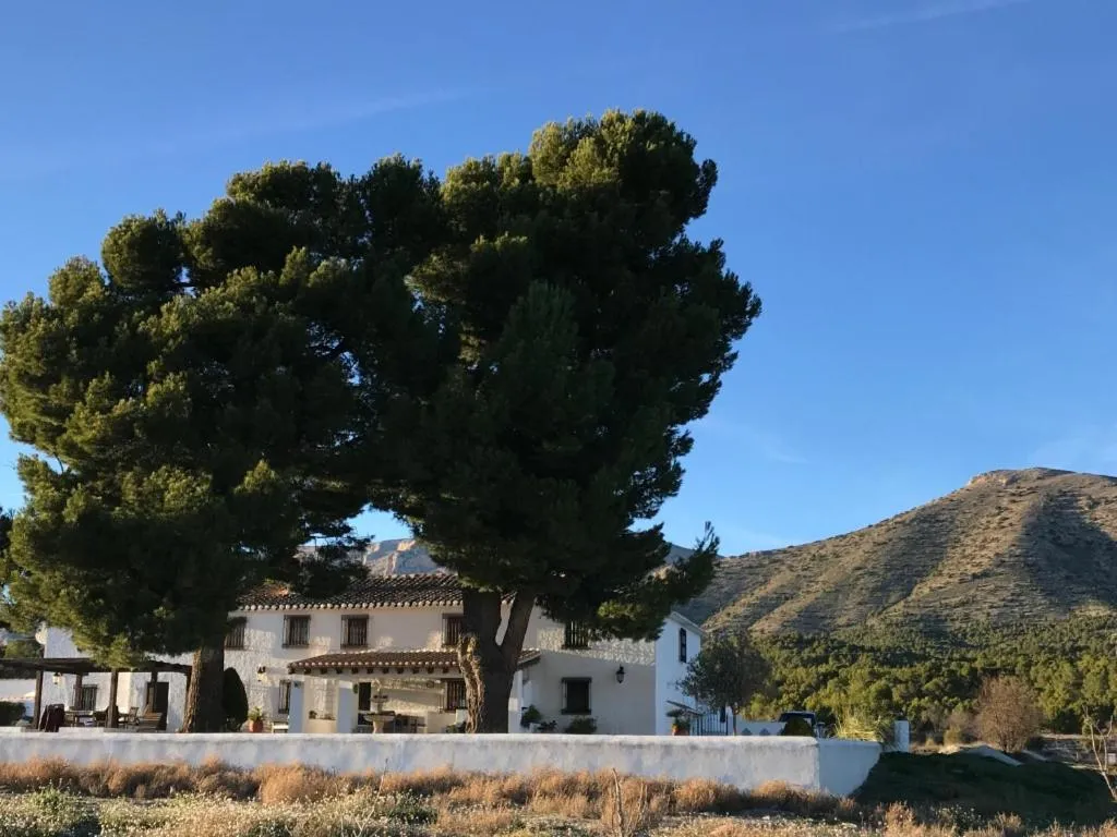 B&B Cortijo El Ciruelo