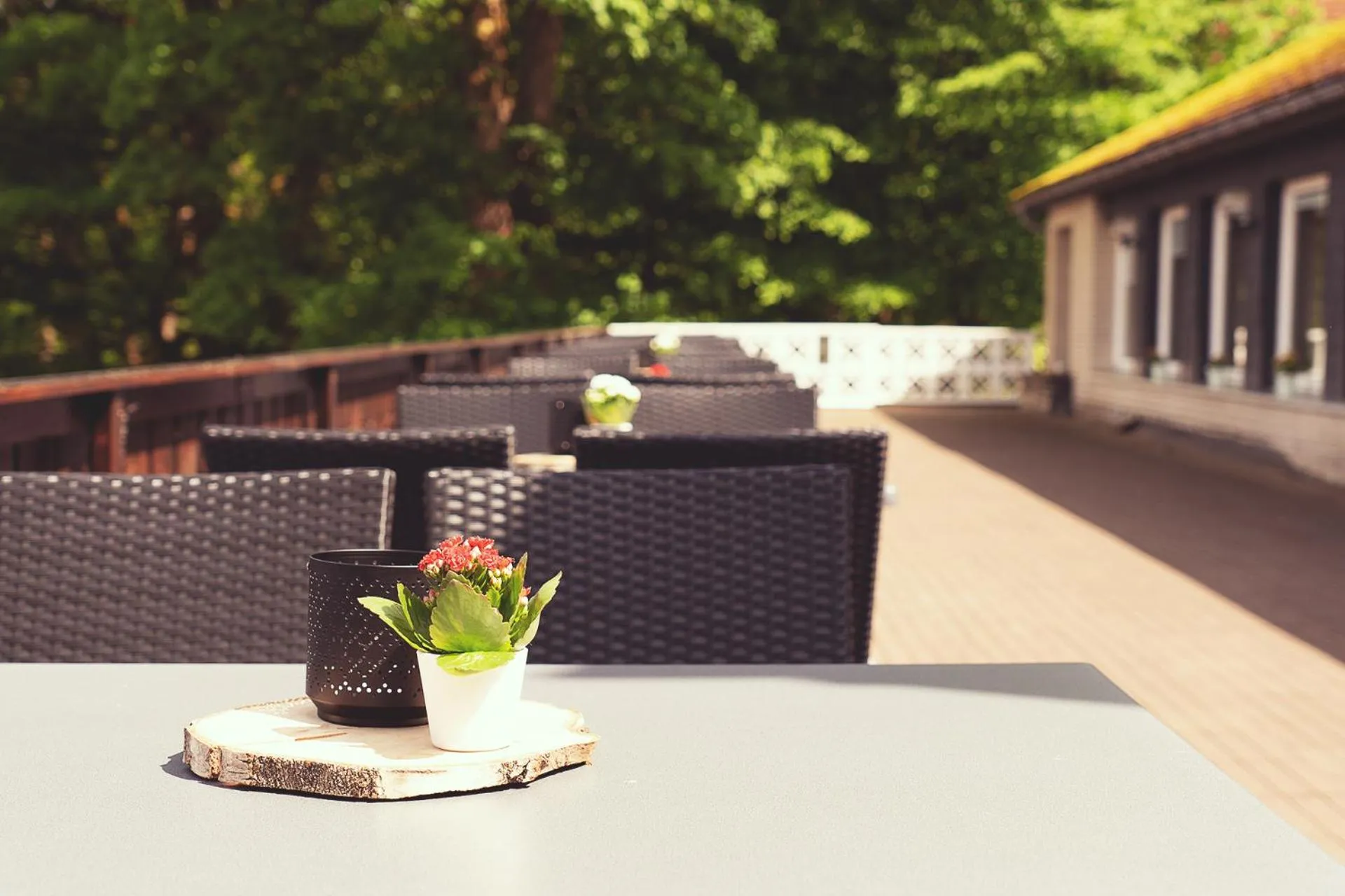 Restaurant/places to eat in Hotel Mein Bergblick