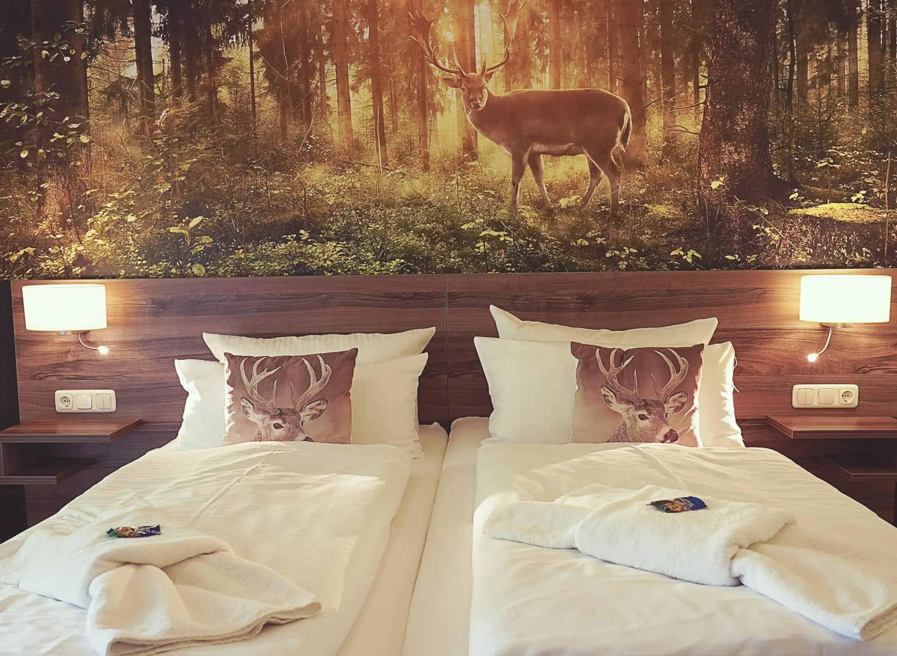 Deluxe Double Room - single occupancy in Hotel Mein Bergblick Deluxe Double Room - single occupancy in Hotel Mein Bergblick