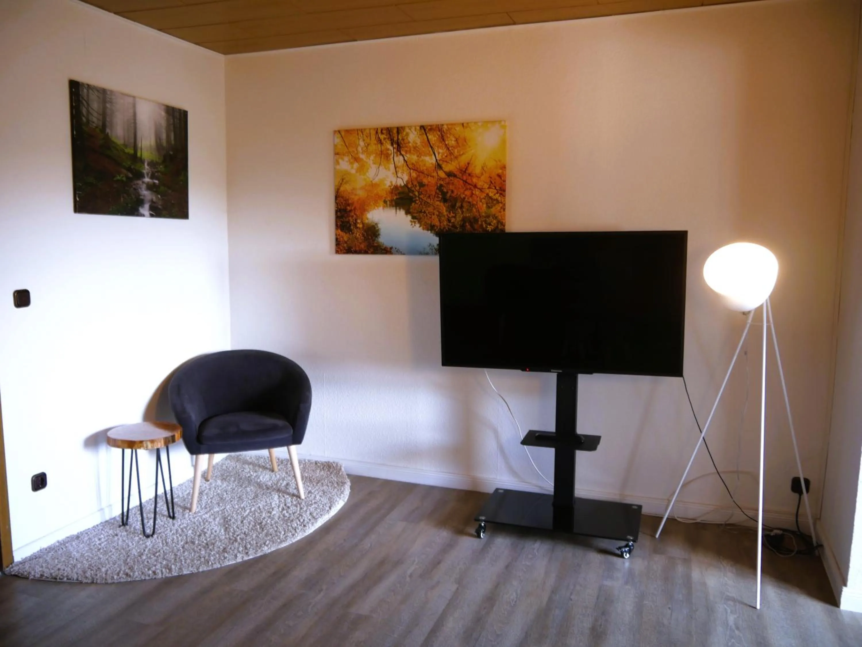 TV and multimedia in Hotel Mein Bergblick