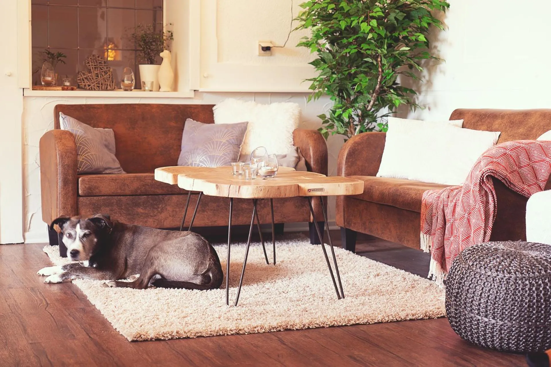 Communal lounge/ TV room in Hotel Mein Bergblick