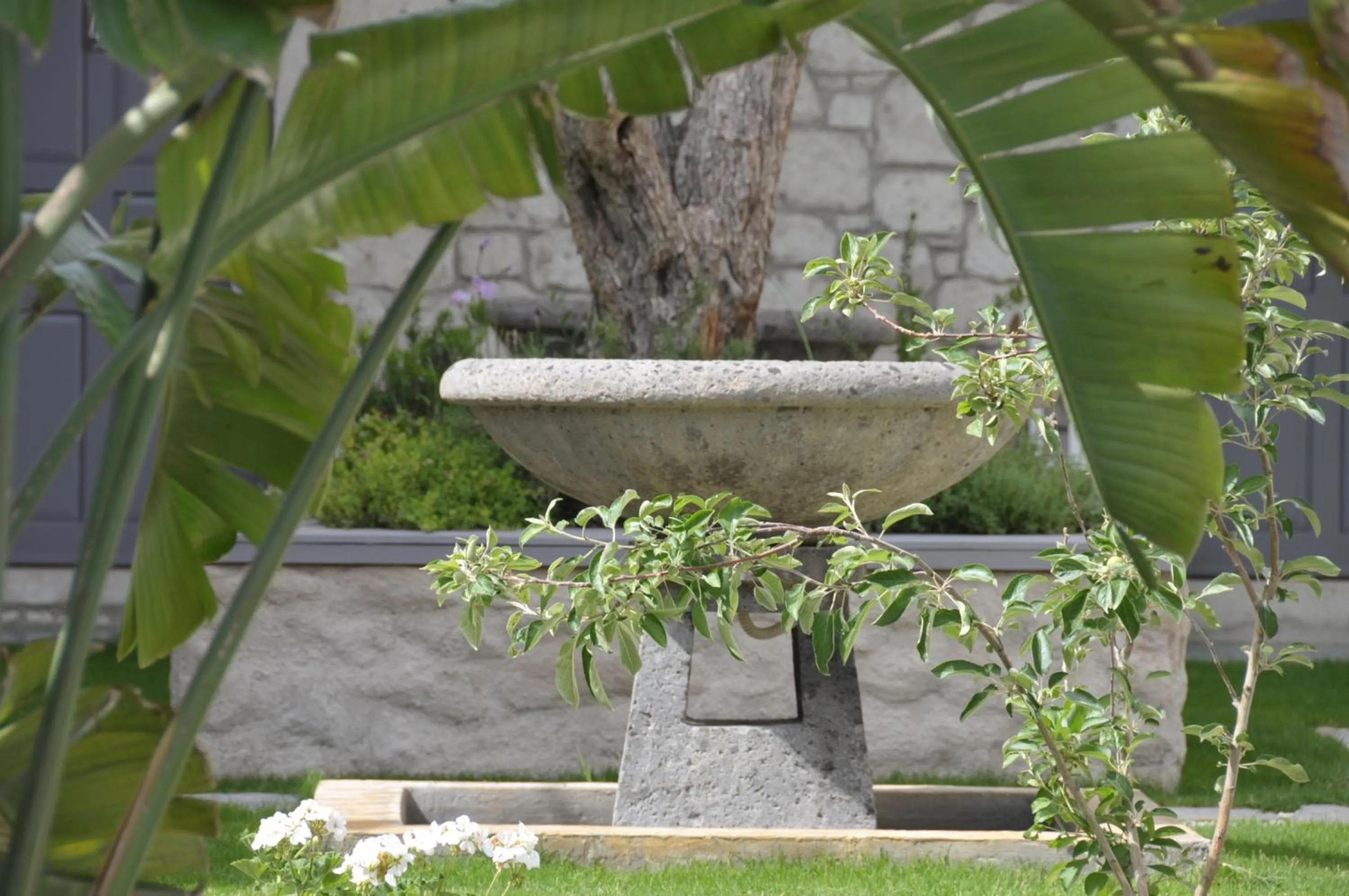 Garden in Alaçatı Ala Hotel - Special Category